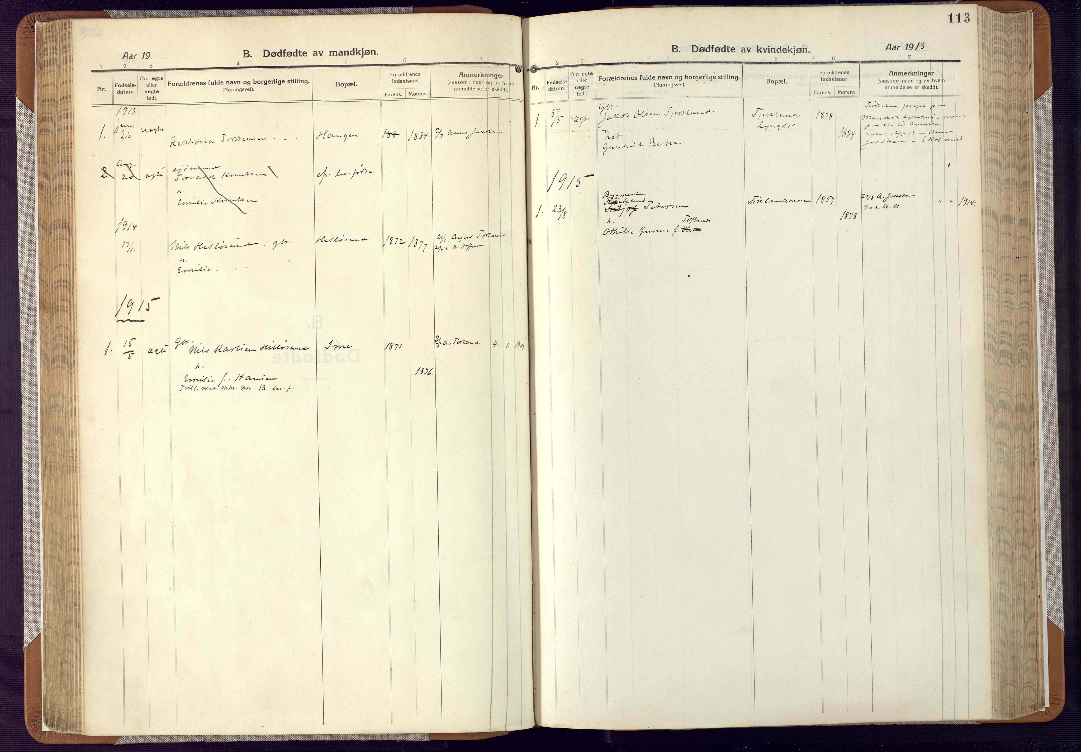 Mandal sokneprestkontor, AV/SAK-1111-0030/F/Fa/Faa/L0022: Parish register (official) no. A 22, 1913-1925, p. 113