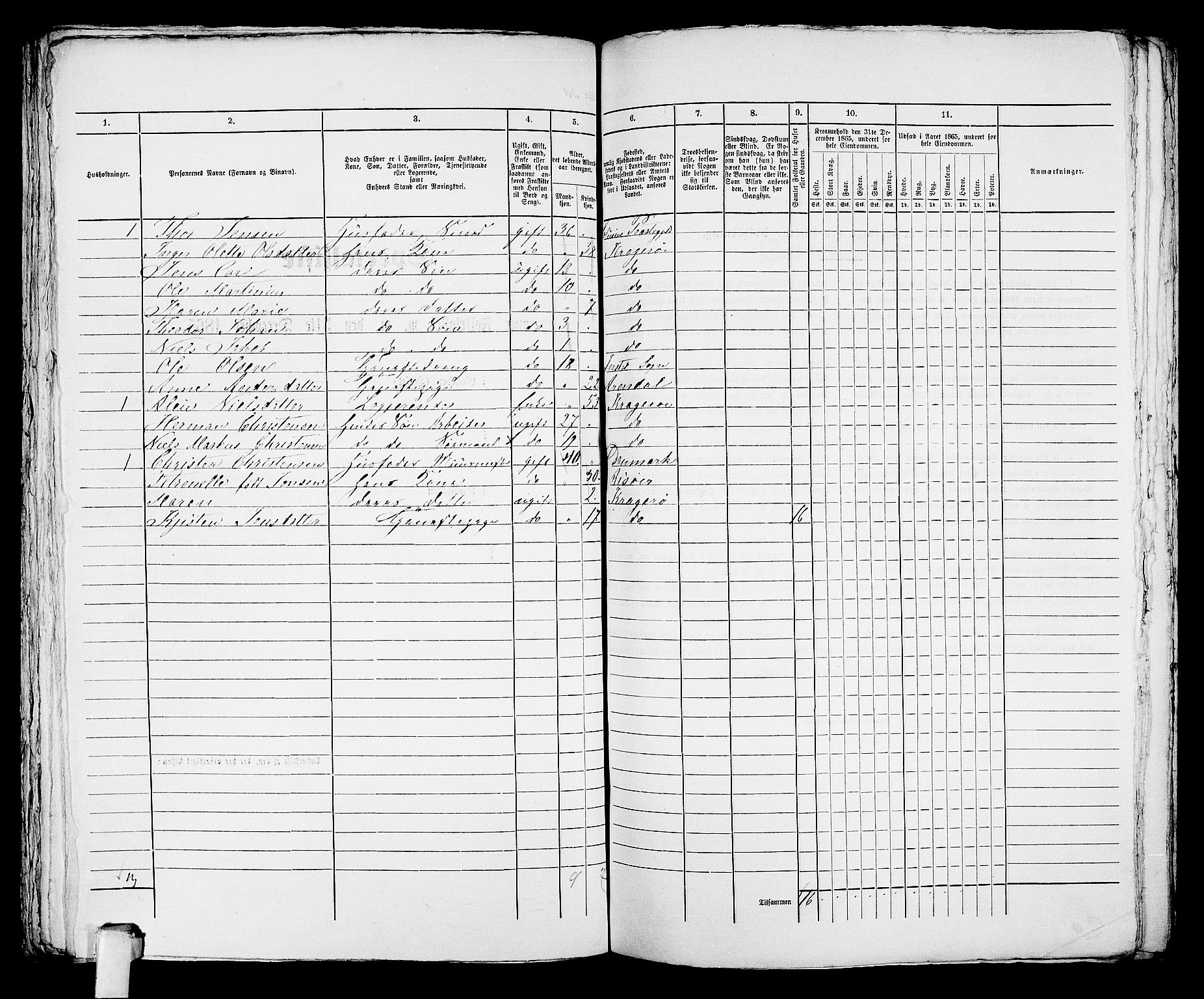 RA, 1865 census for Kragerø/Kragerø, 1865, p. 817