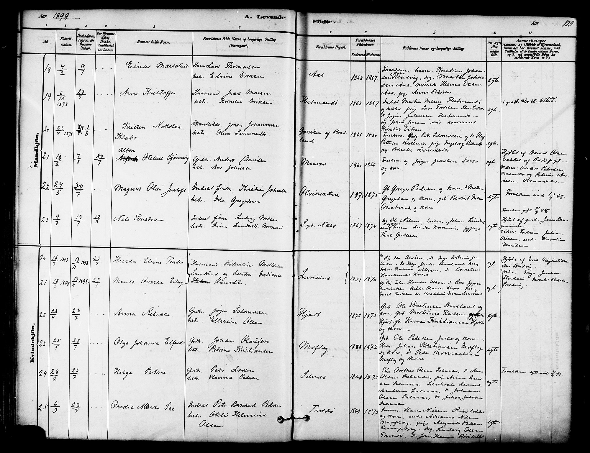 Ministerialprotokoller, klokkerbøker og fødselsregistre - Nordland, AV/SAT-A-1459/839/L0568: Parish register (official) no. 839A05, 1880-1902, p. 129