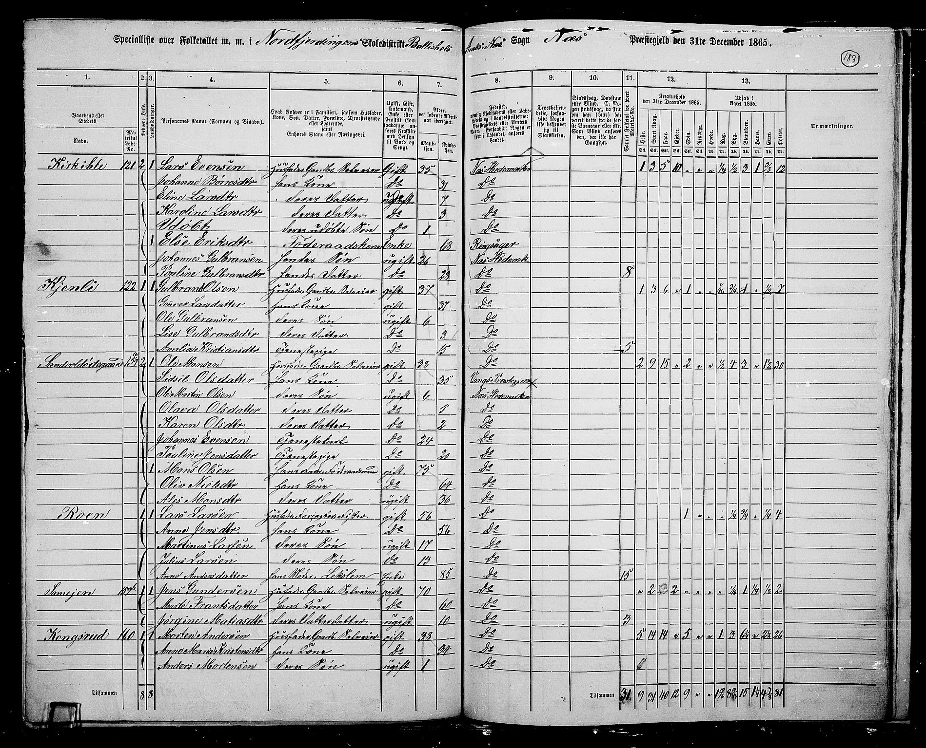 RA, 1865 census for Nes, 1865, p. 157