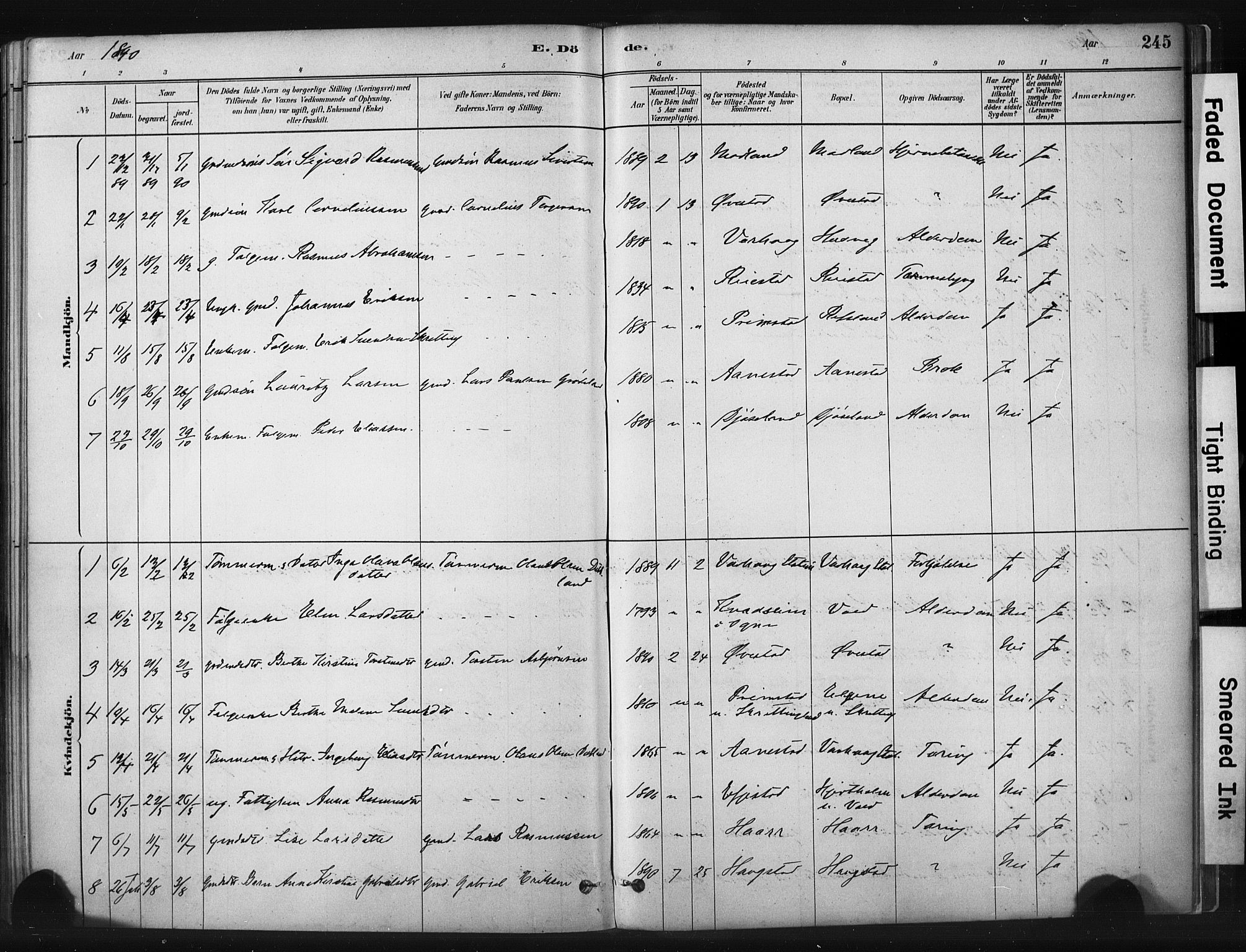 Hå sokneprestkontor, AV/SAST-A-101801/001/30BA/L0011: Parish register (official) no. A 10, 1879-1900, p. 245