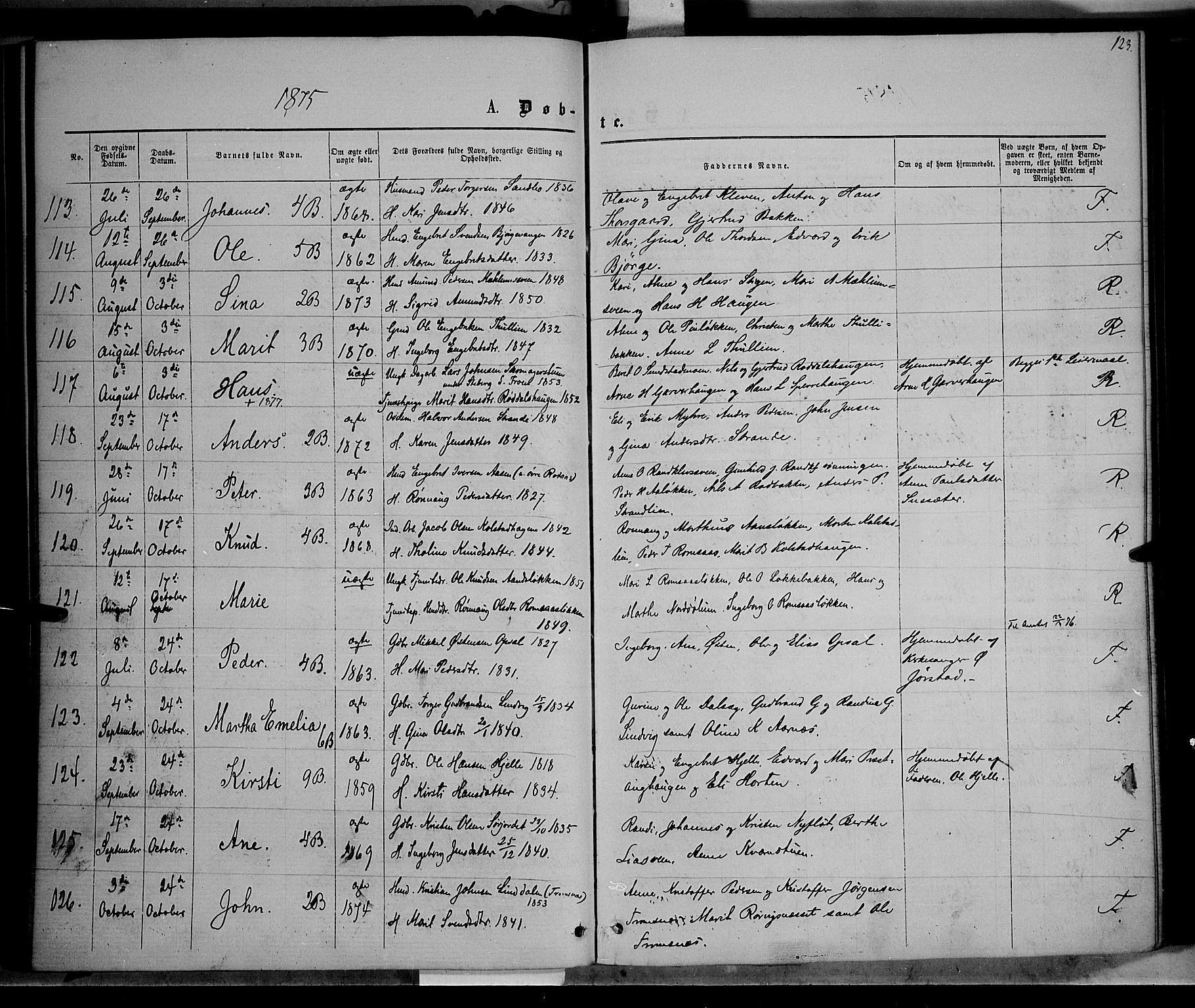 Ringebu prestekontor, SAH/PREST-082/H/Ha/Haa/L0007: Parish register (official) no. 7, 1860-1877, p. 123