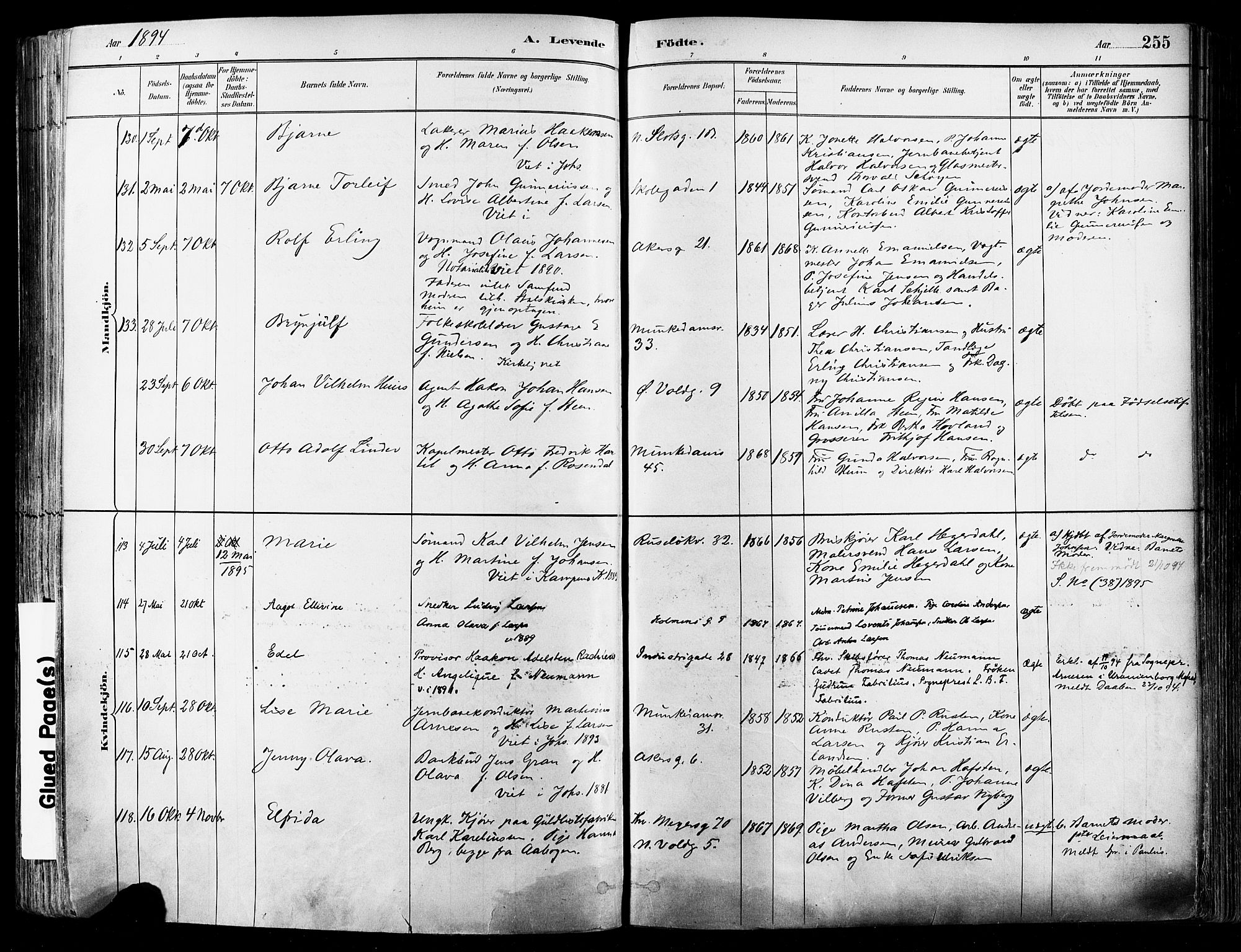 Johannes prestekontor Kirkebøker, AV/SAO-A-10852/F/Fa/L0003: Parish register (official) no. 3, 1882-1896, p. 255