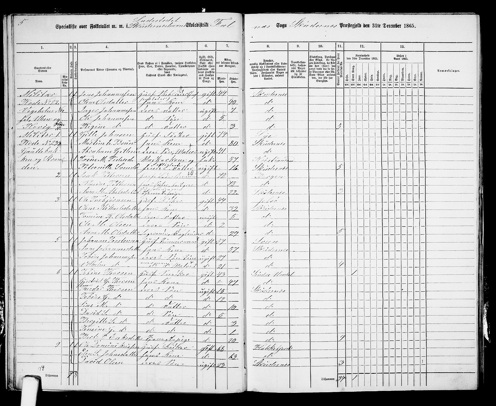 RA, 1865 census for Skudenes, 1865, p. 216