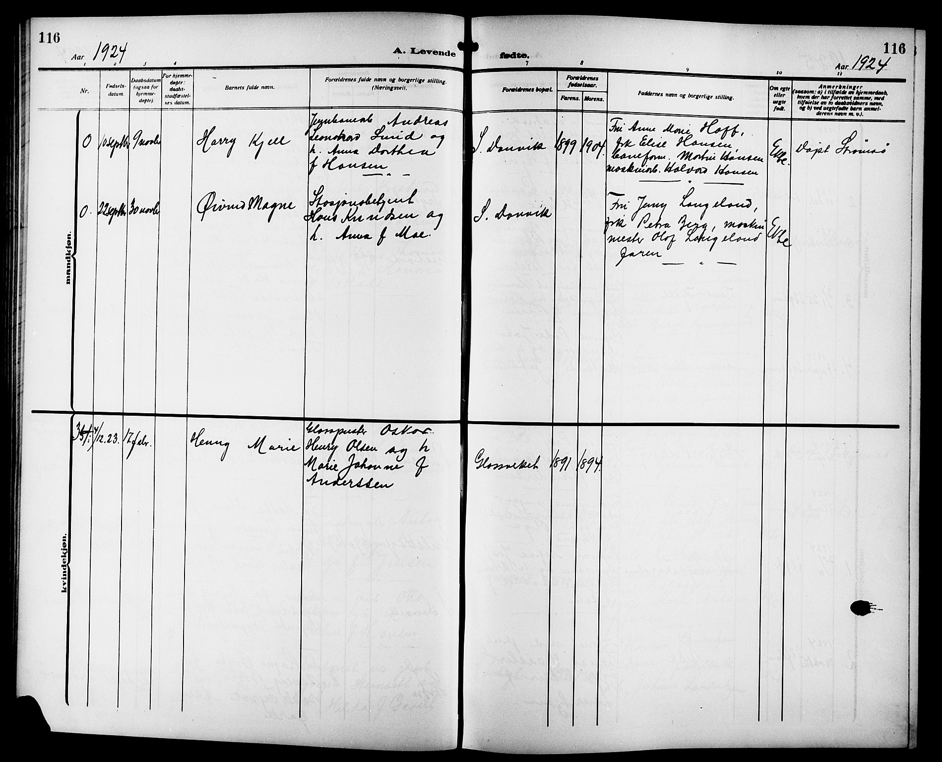 Strømsgodset kirkebøker, AV/SAKO-A-324/G/Ga/L0003: Parish register (copy) no. 3, 1911-1926, p. 116