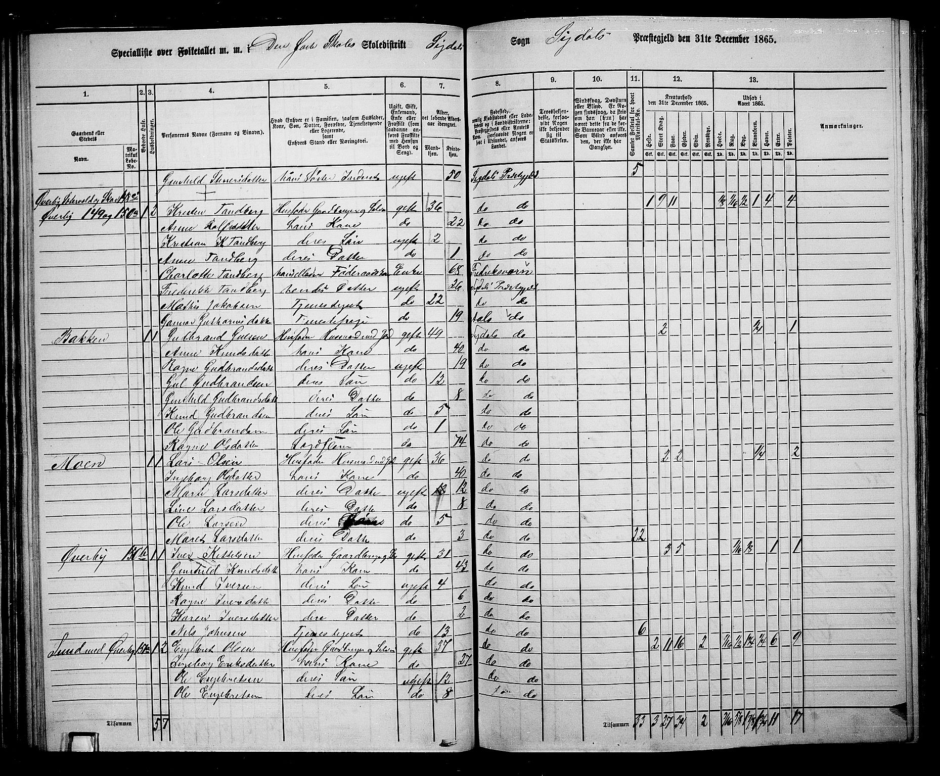 RA, 1865 census for Sigdal, 1865, p. 81