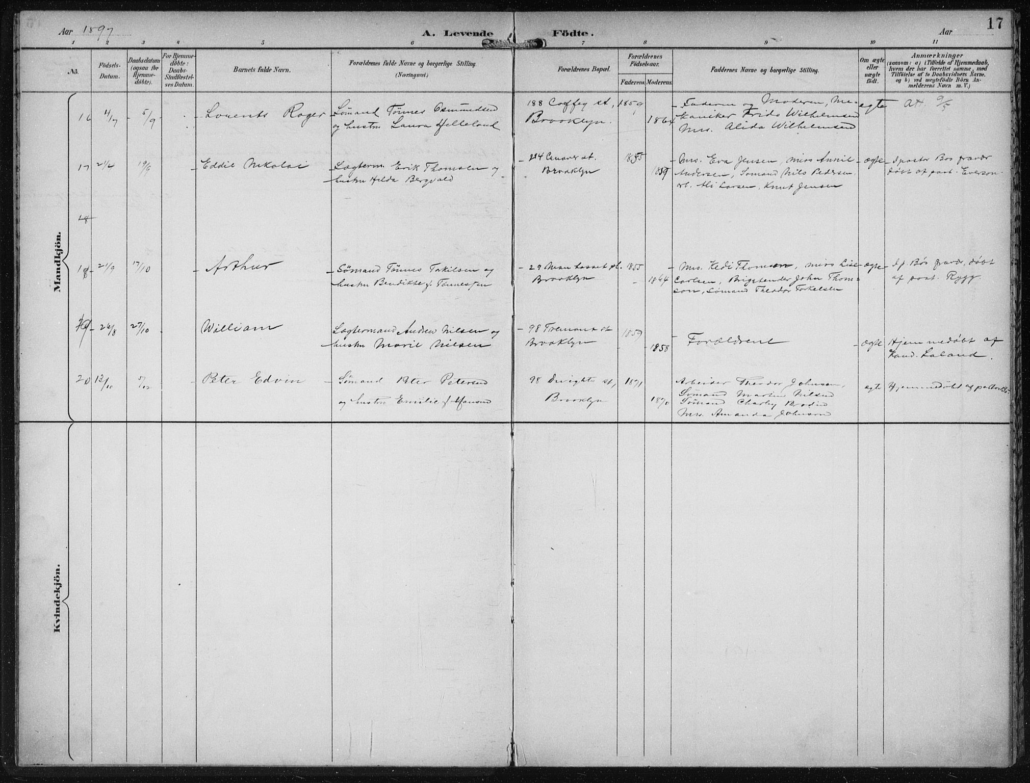 Den norske sjømannsmisjon i utlandet/New York, SAB/SAB/PA-0110/H/Ha/L0004: Parish register (official) no. A 4, 1893-1901, p. 17