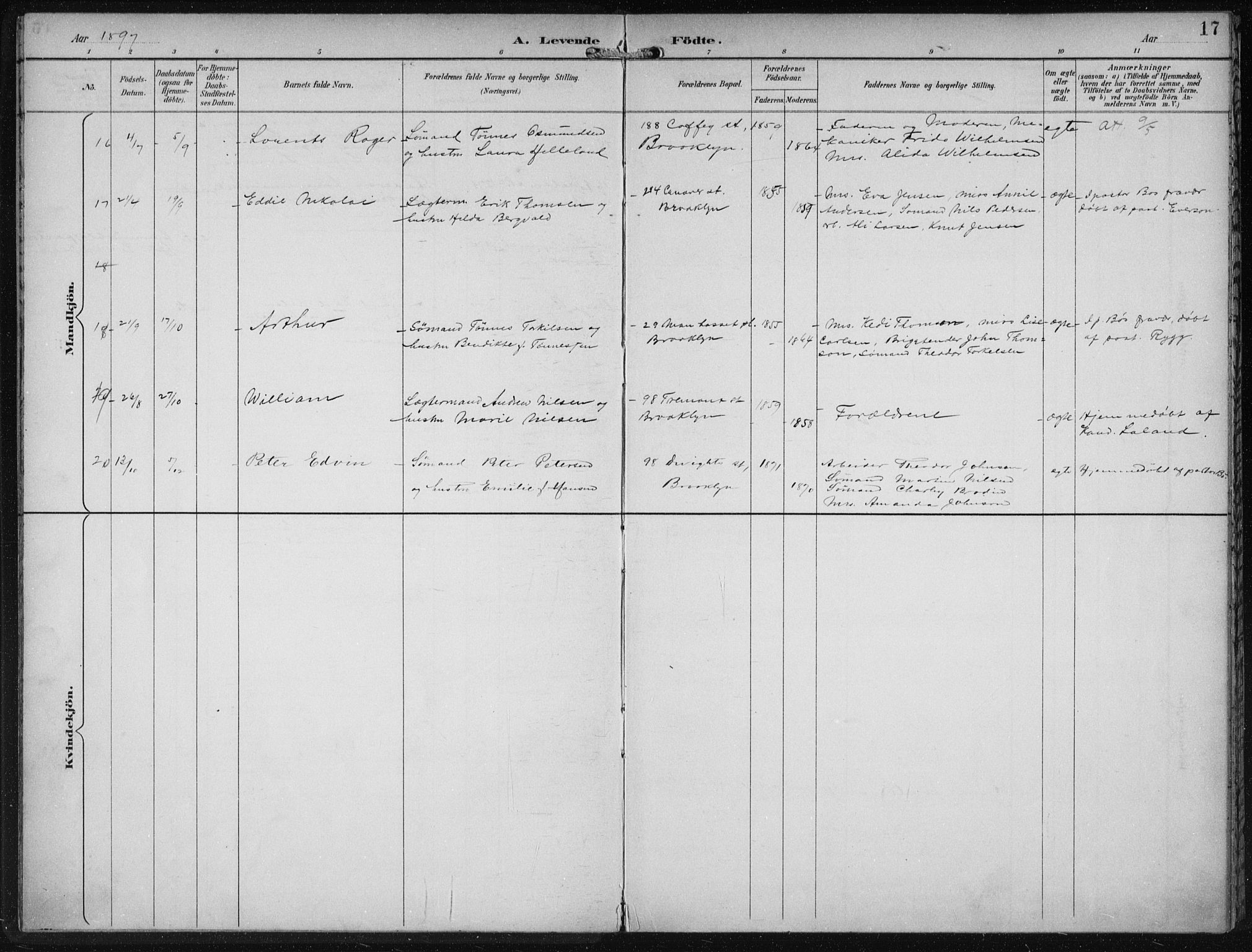 Den norske sjømannsmisjon i utlandet/New York, AV/SAB-SAB/PA-0110/H/Ha/L0004: Parish register (official) no. A 4, 1893-1901, p. 17