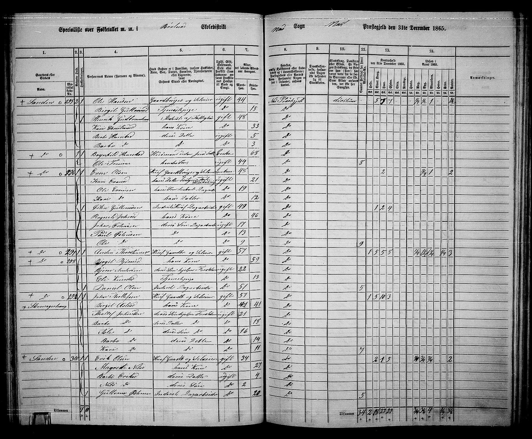 RA, 1865 census for Nes, 1865, p. 120