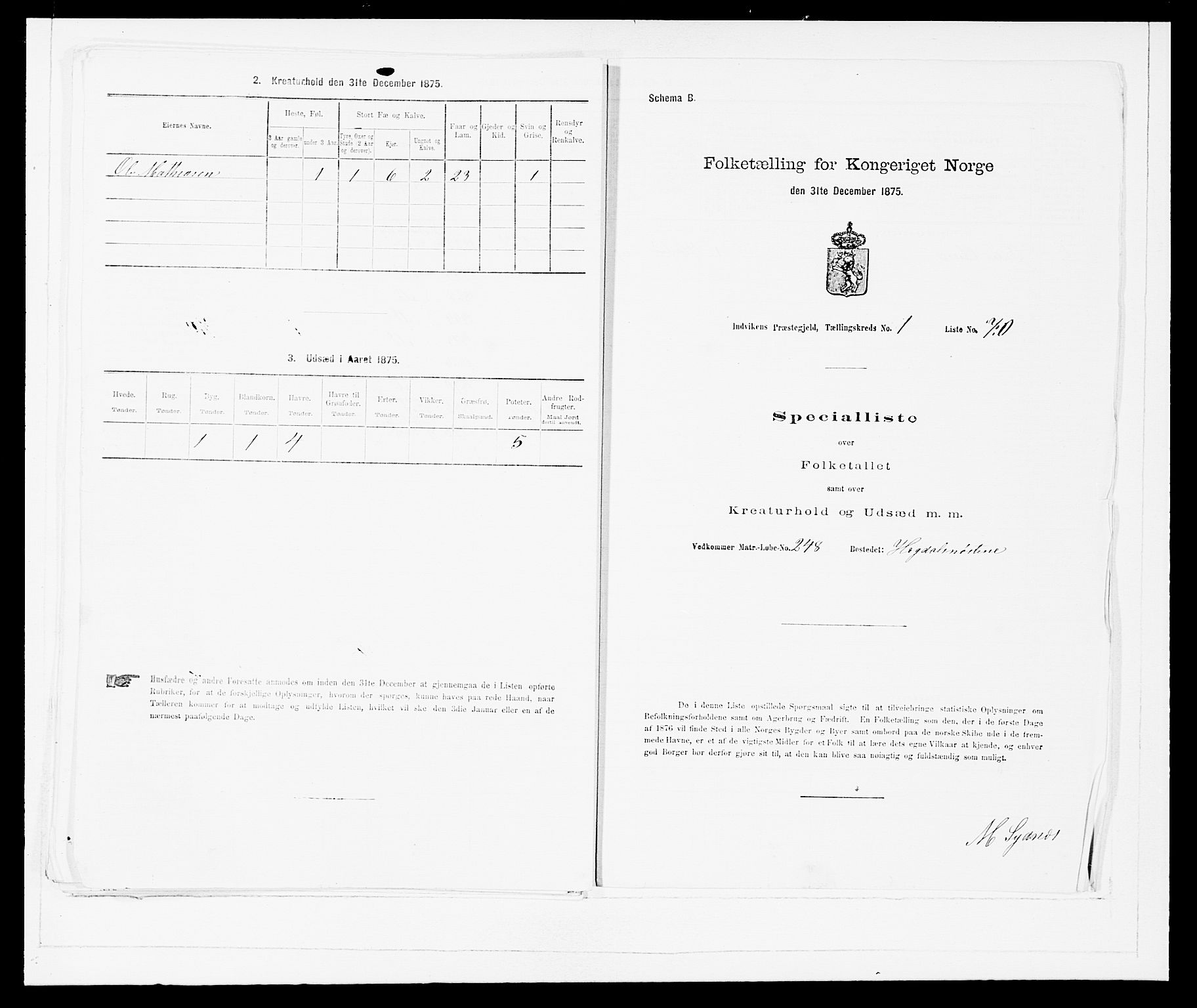 SAB, 1875 Census for 1447P Innvik, 1875, p. 163