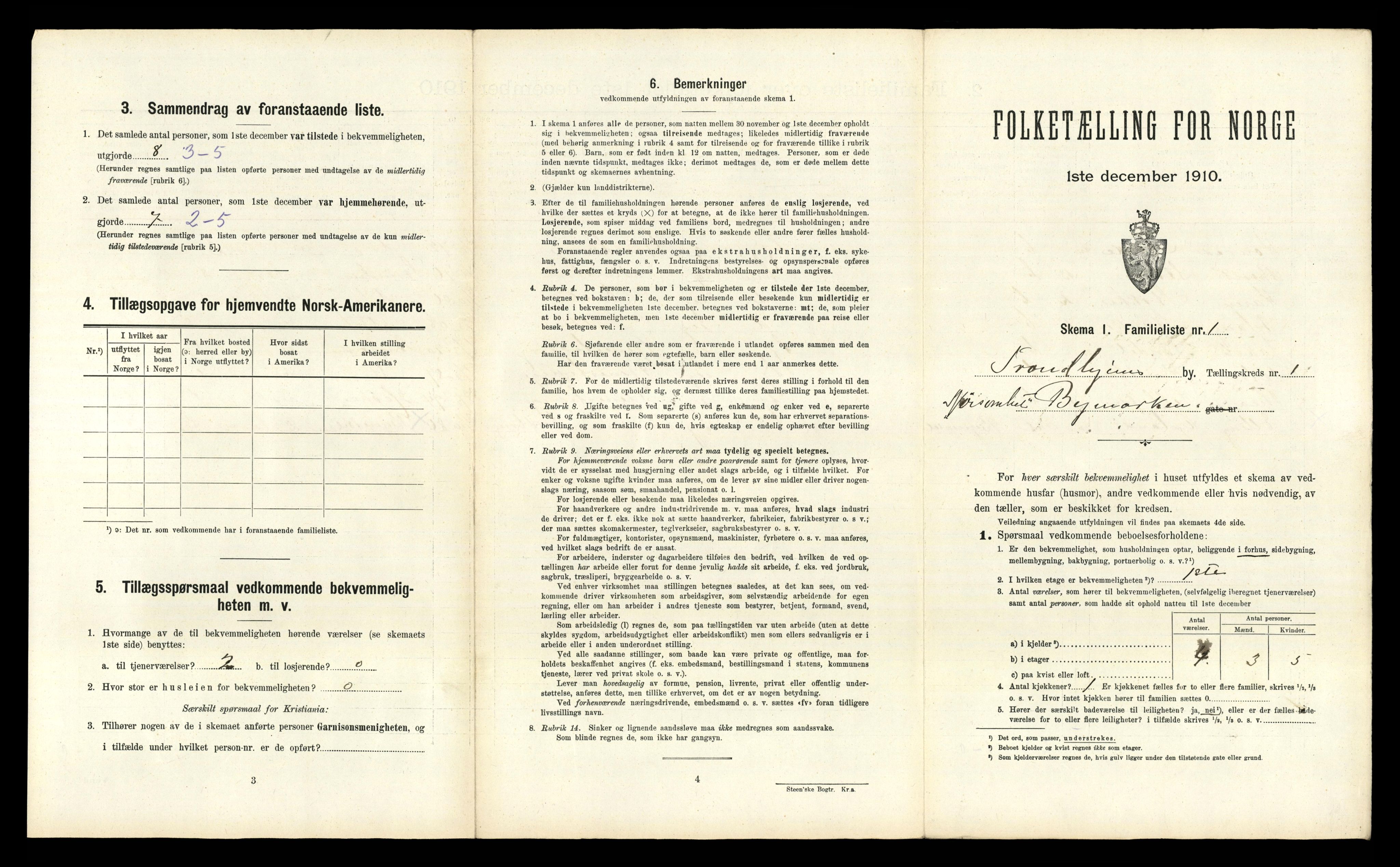 RA, 1910 census for Trondheim, 1910, p. 313