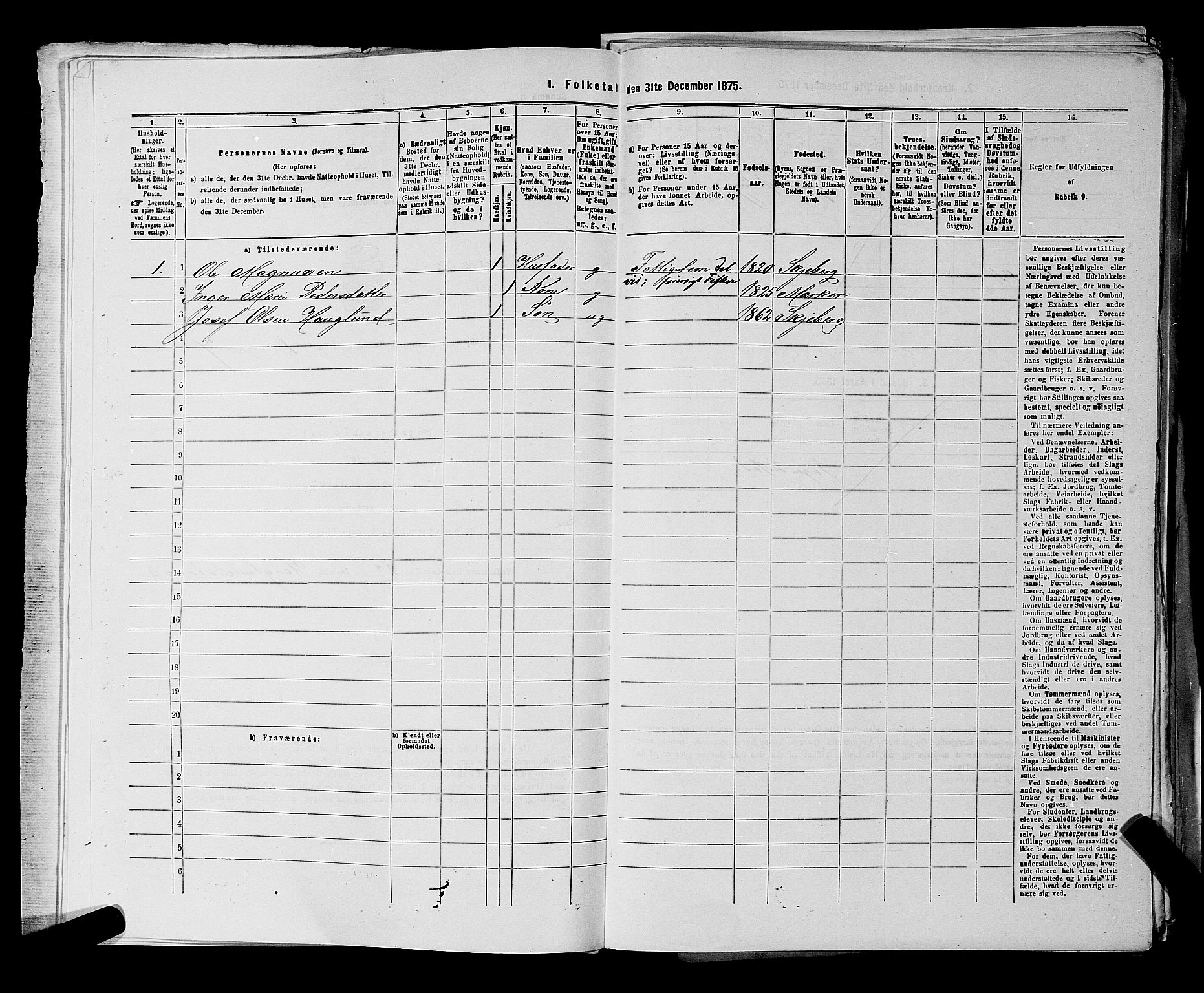 RA, 1875 census for 0115P Skjeberg, 1875, p. 43