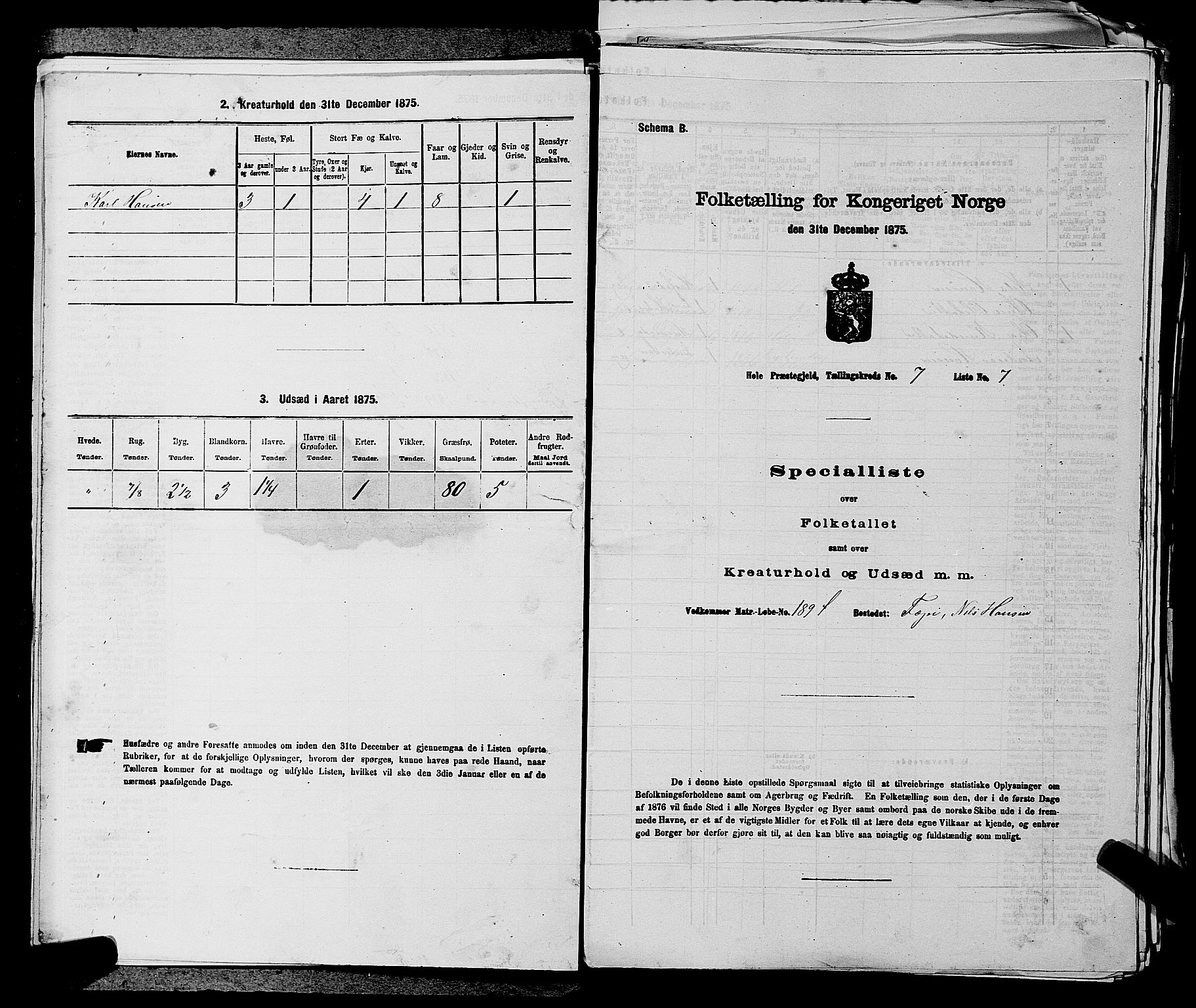 SAKO, 1875 census for 0612P Hole, 1875, p. 1175