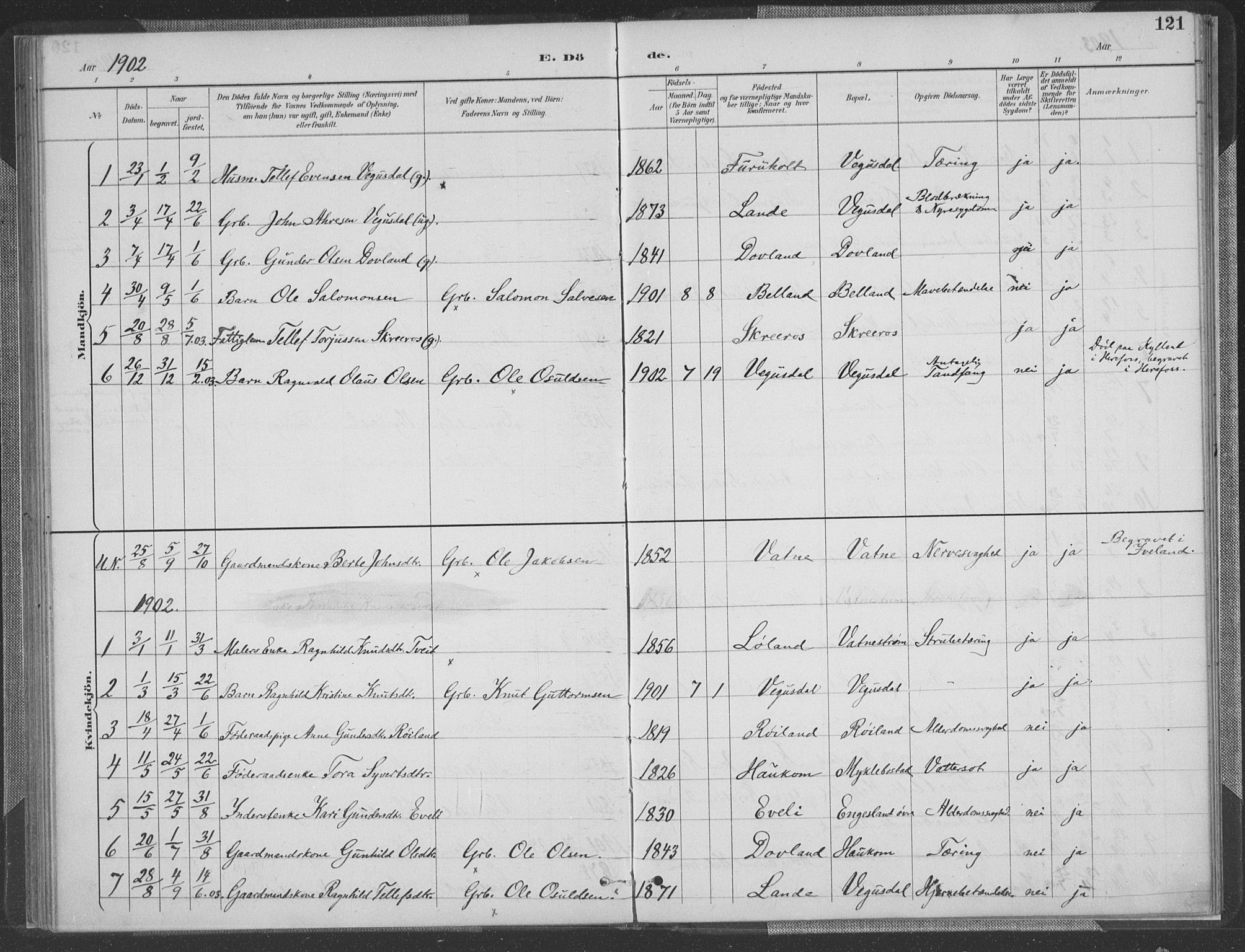 Herefoss sokneprestkontor, AV/SAK-1111-0019/F/Fa/Fab/L0004: Parish register (official) no. A 4, 1887-1909, p. 121