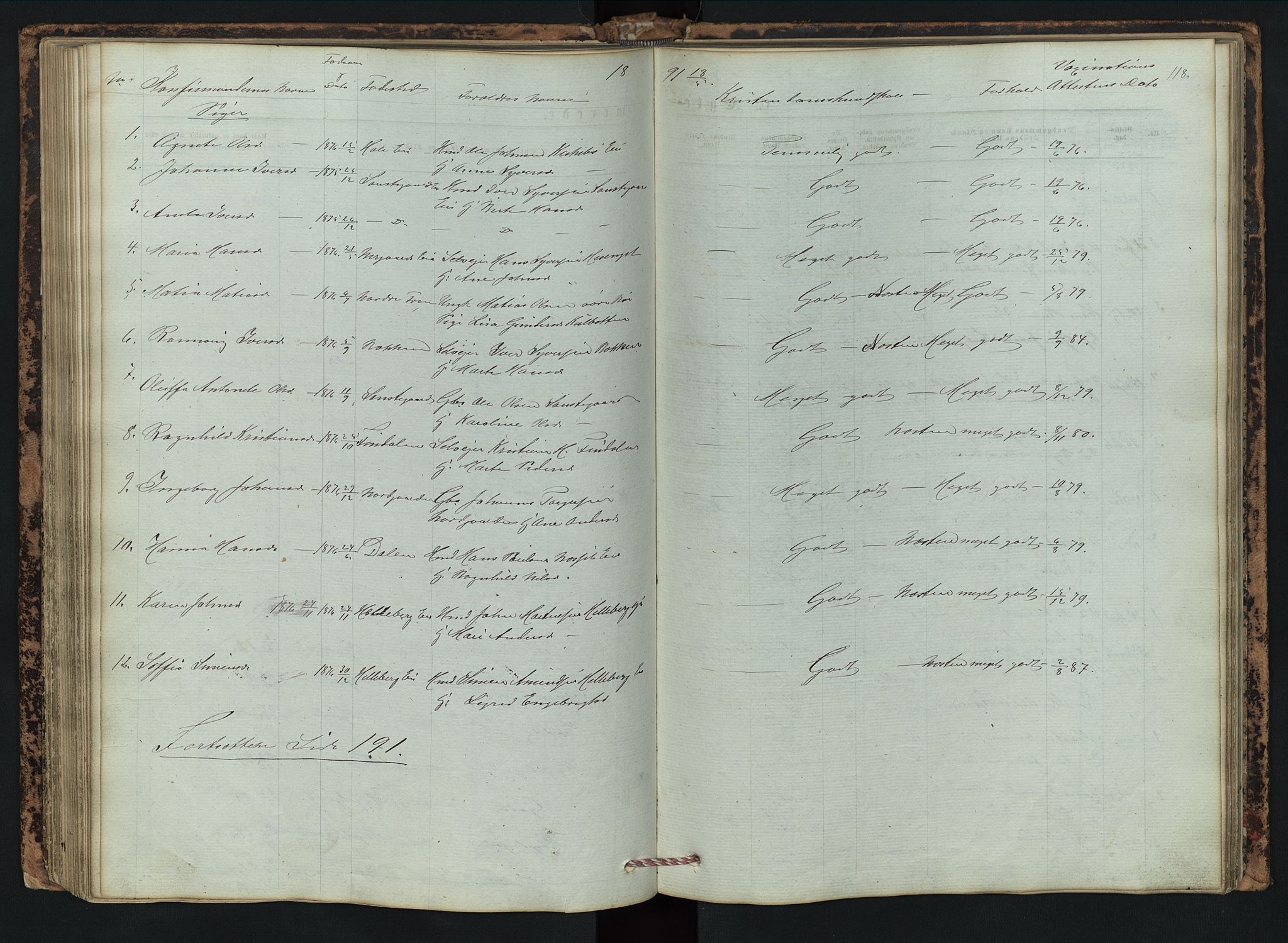 Vestre Gausdal prestekontor, SAH/PREST-094/H/Ha/Hab/L0002: Parish register (copy) no. 2, 1874-1897, p. 118