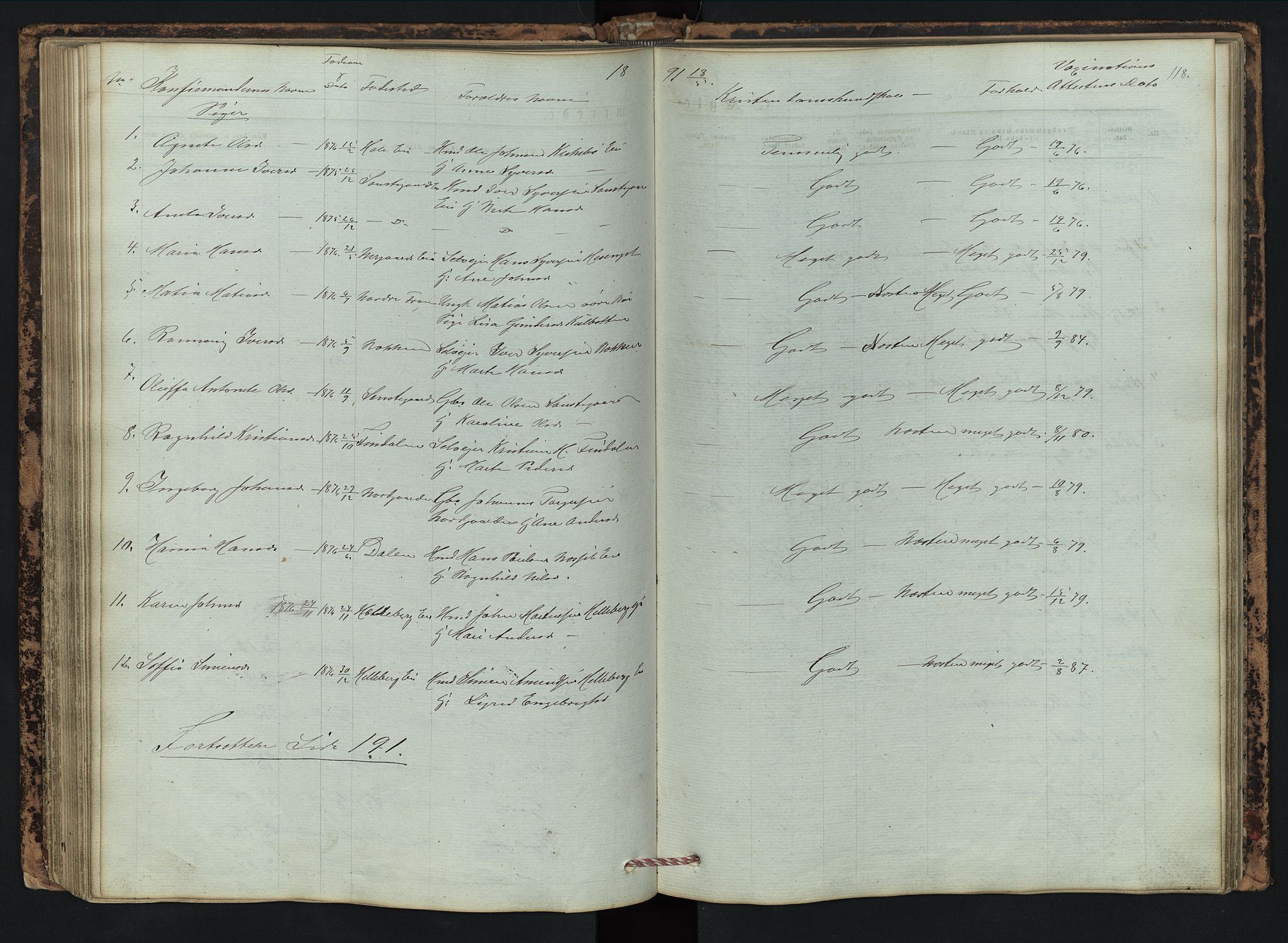 Vestre Gausdal prestekontor, AV/SAH-PREST-094/H/Ha/Hab/L0002: Parish register (copy) no. 2, 1874-1897, p. 118