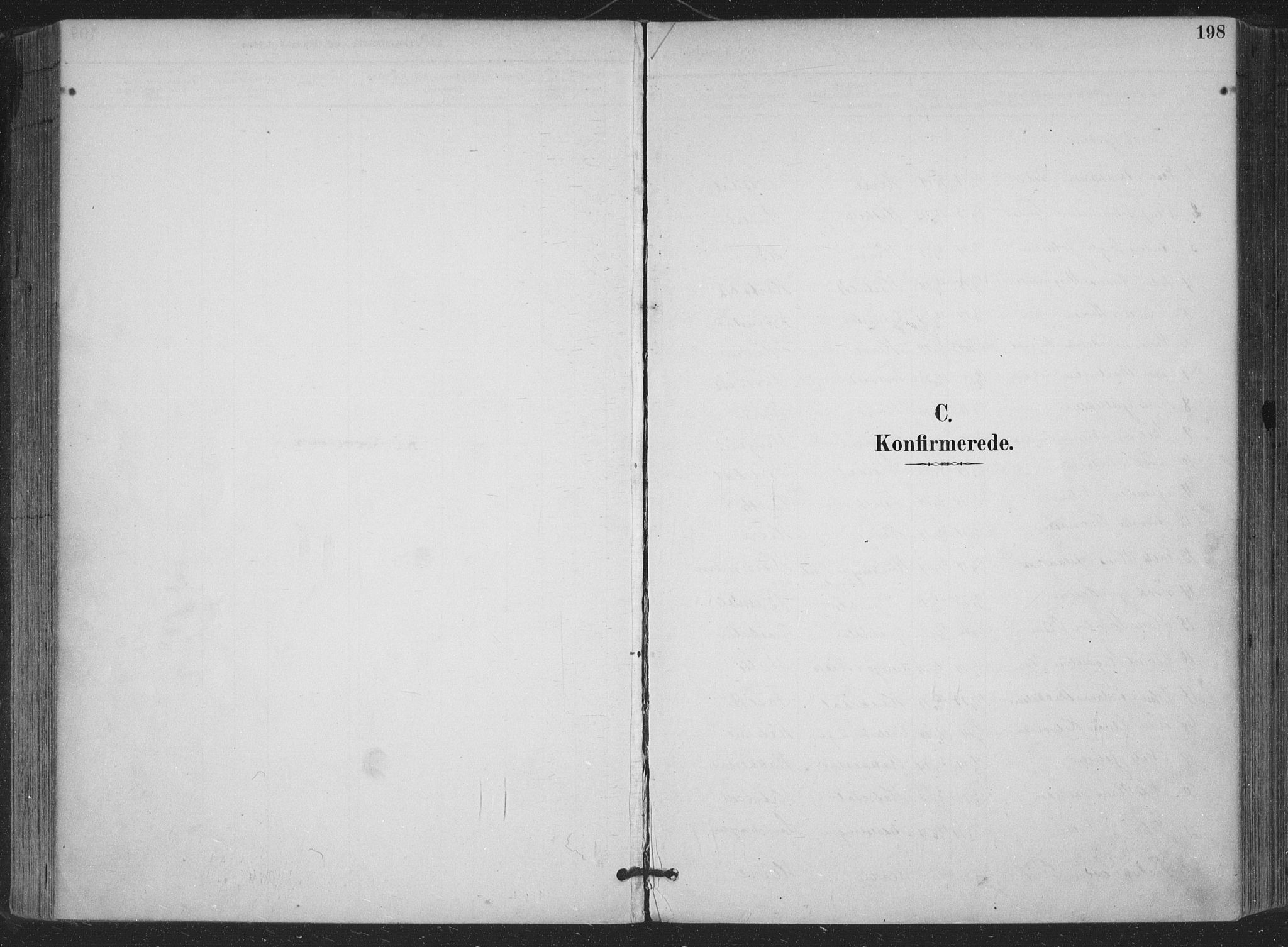 Bamble kirkebøker, SAKO/A-253/F/Fa/L0008: Parish register (official) no. I 8, 1888-1900, p. 198