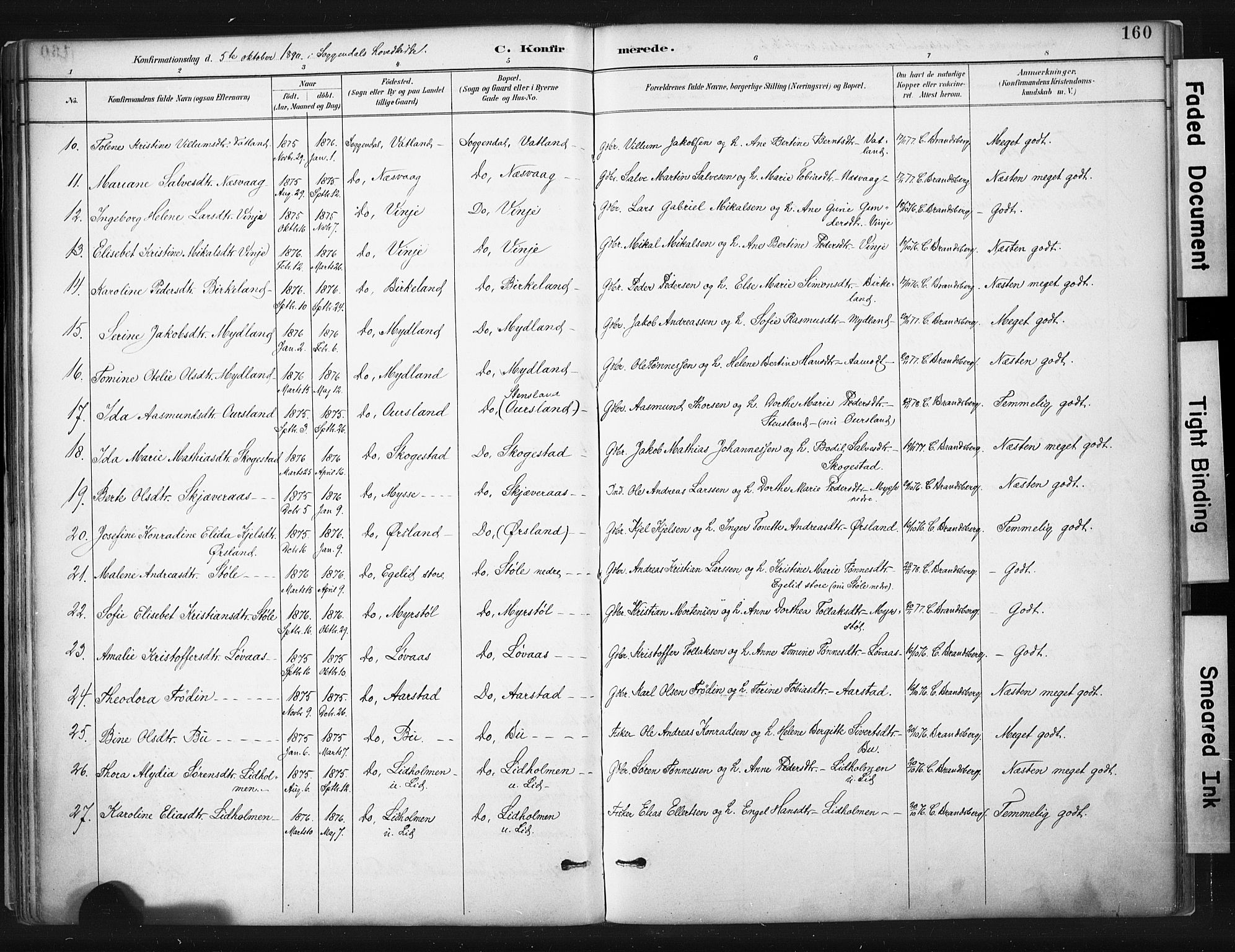 Sokndal sokneprestkontor, AV/SAST-A-101808: Parish register (official) no. A 11.1, 1887-1905, p. 160