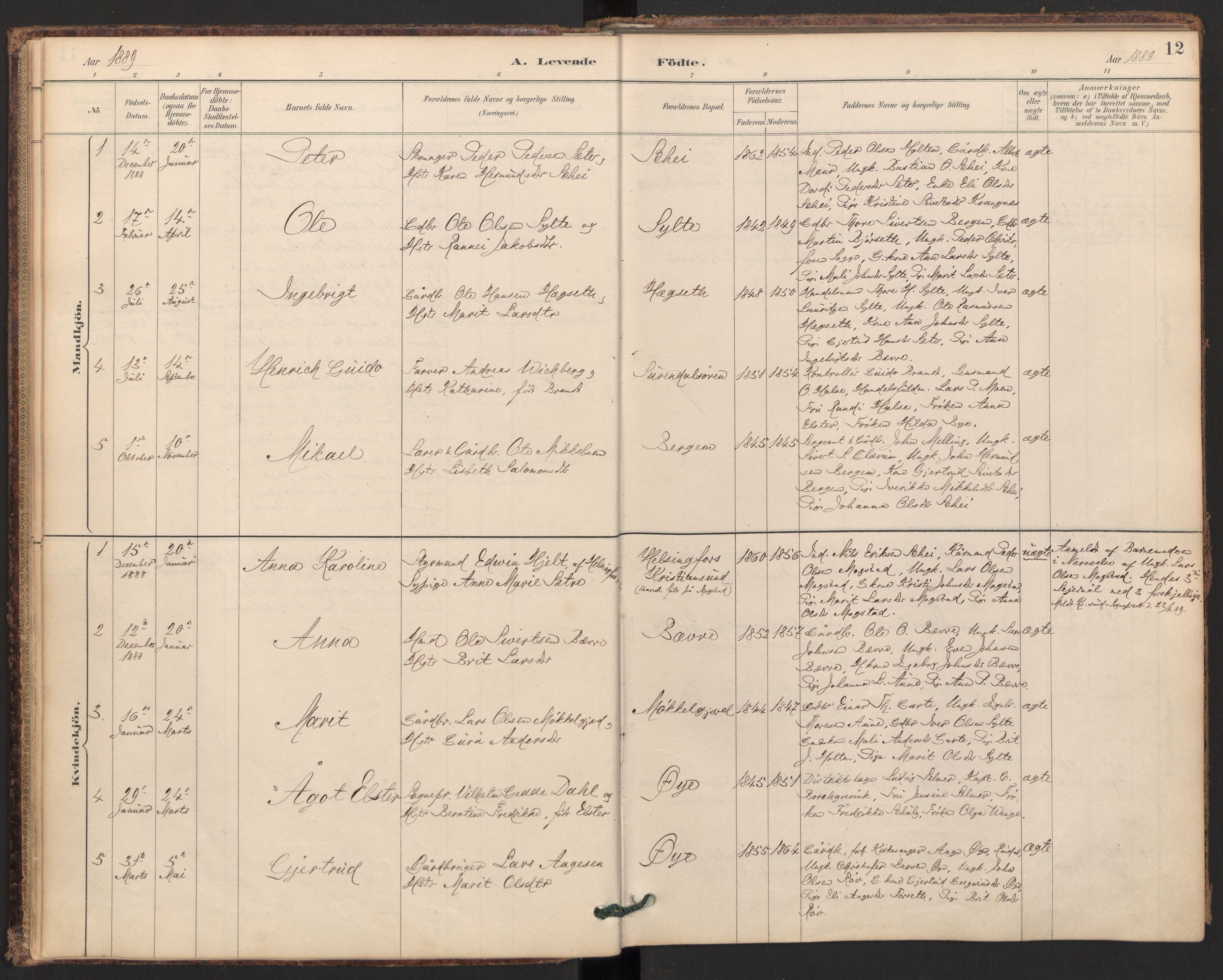 Ministerialprotokoller, klokkerbøker og fødselsregistre - Møre og Romsdal, SAT/A-1454/595/L1047: Parish register (official) no. 595A09, 1885-1900, p. 12