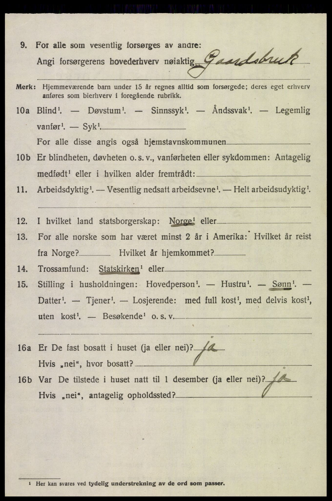 SAK, 1920 census for Holum, 1920, p. 2738