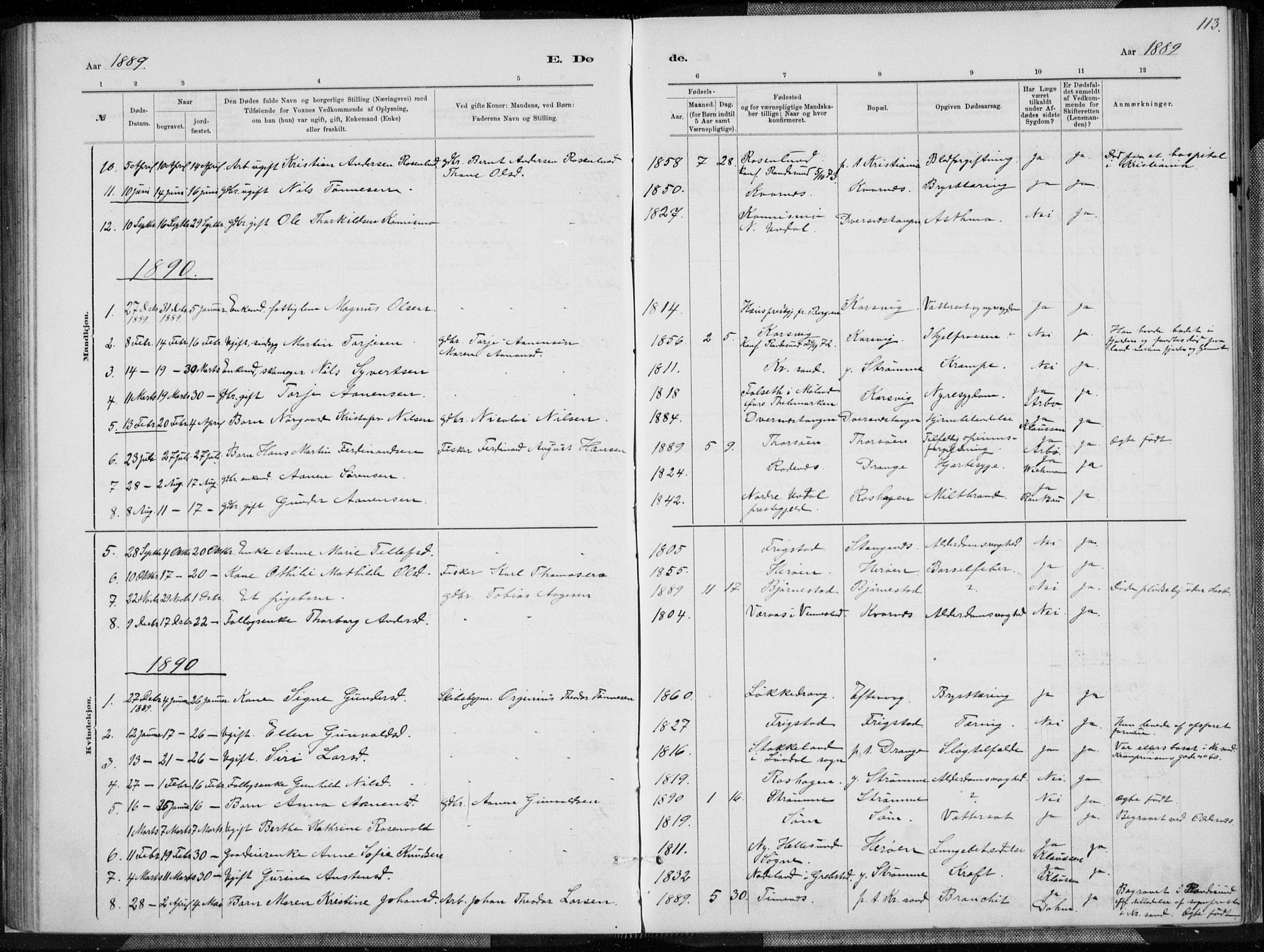 Oddernes sokneprestkontor, AV/SAK-1111-0033/F/Fa/Fab/L0002: Parish register (official) no. A 2, 1884-1903, p. 113