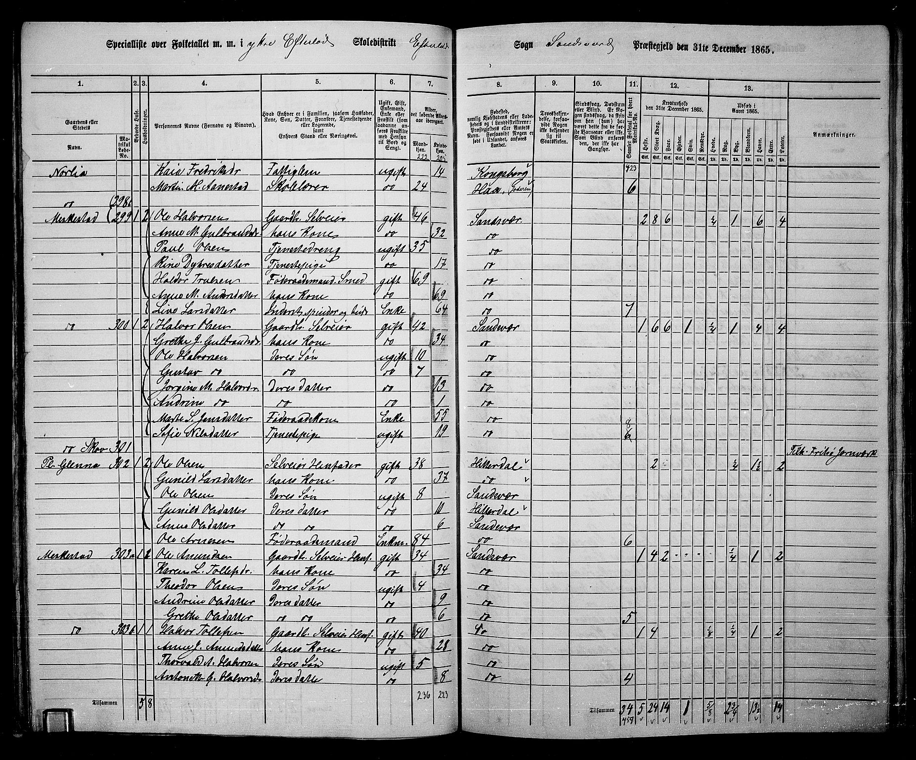 RA, 1865 census for Sandsvær, 1865, p. 59