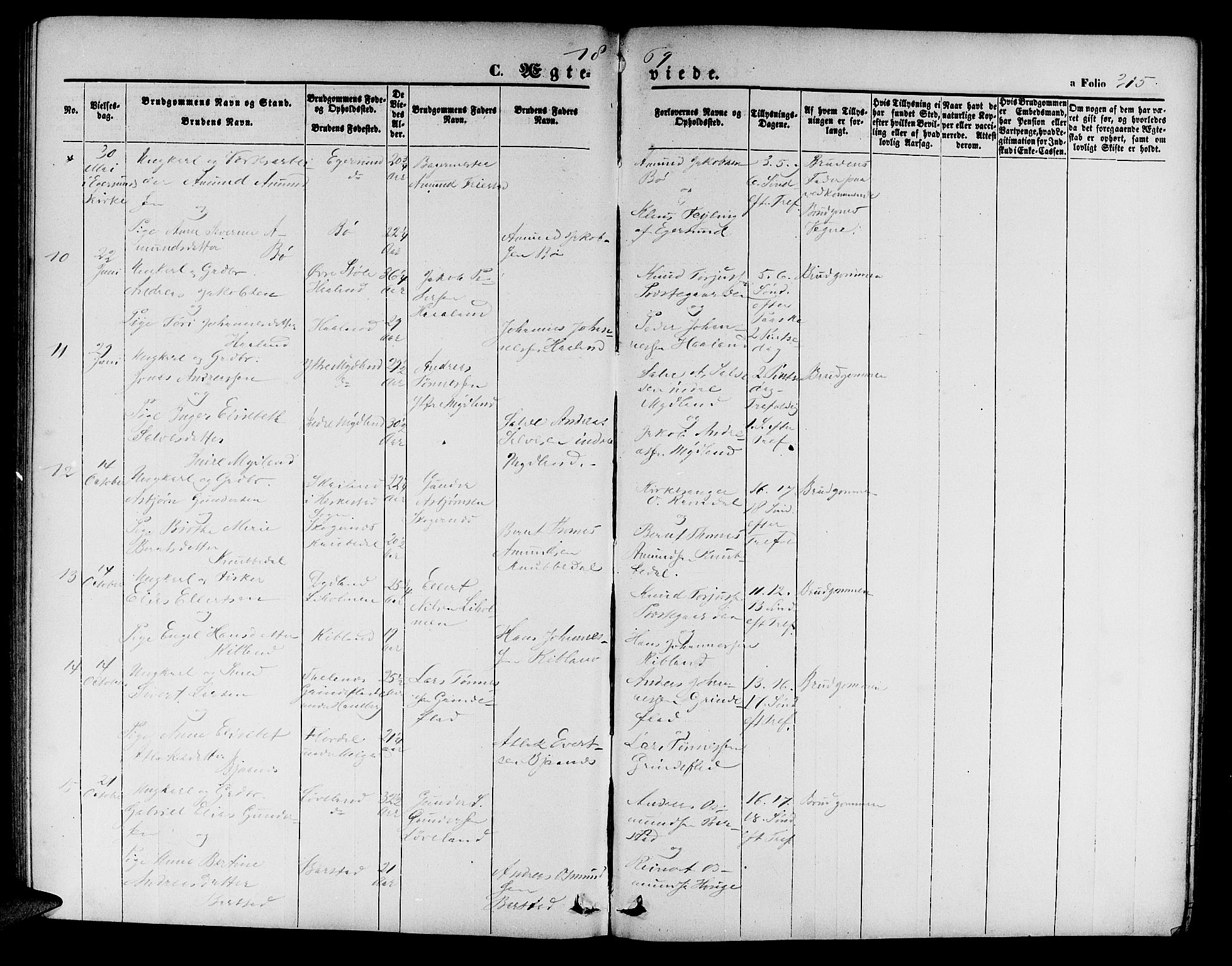 Sokndal sokneprestkontor, SAST/A-101808: Parish register (copy) no. B 3, 1865-1879, p. 315