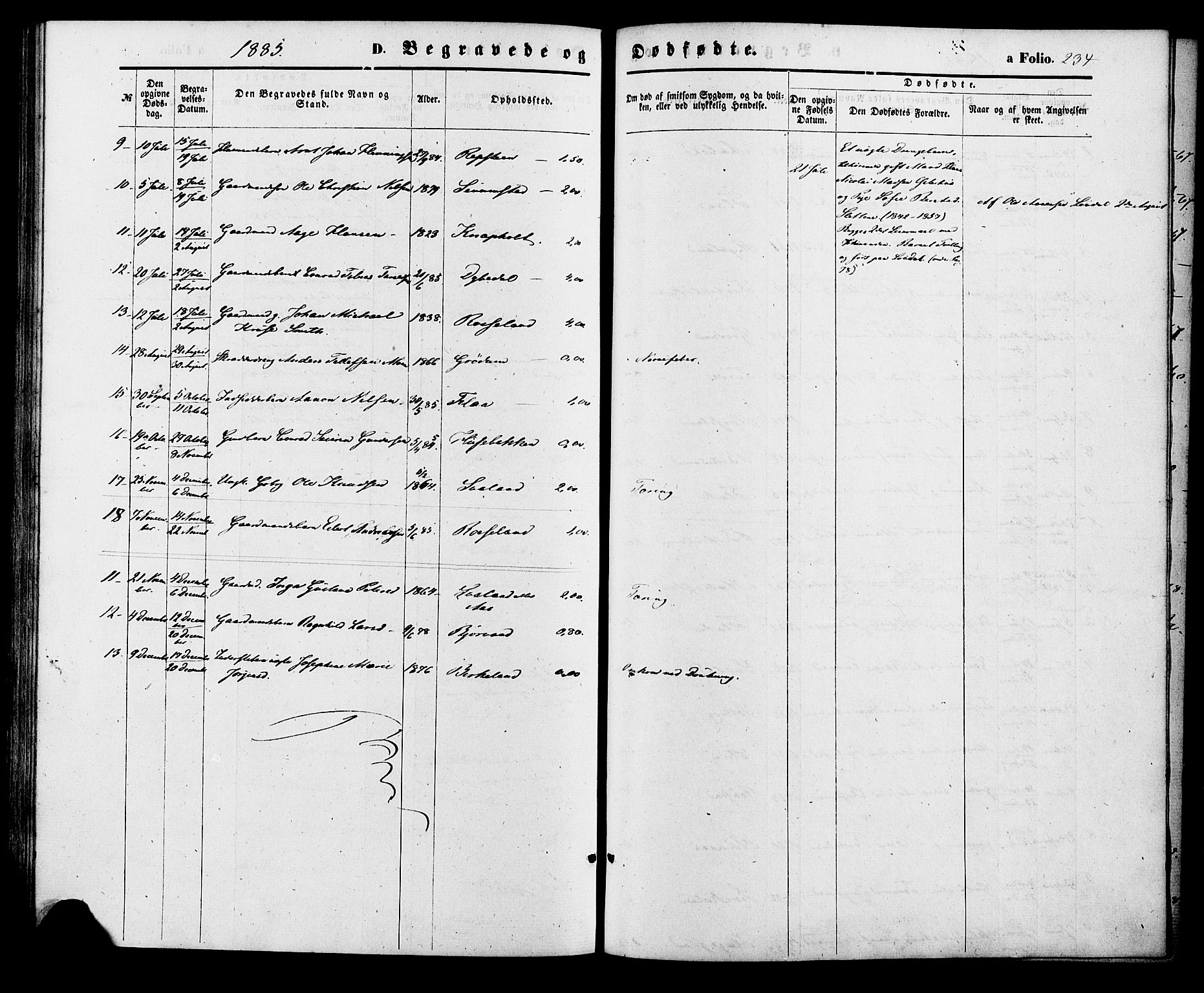 Birkenes sokneprestkontor, AV/SAK-1111-0004/F/Fa/L0004: Parish register (official) no. A 4, 1867-1886, p. 234