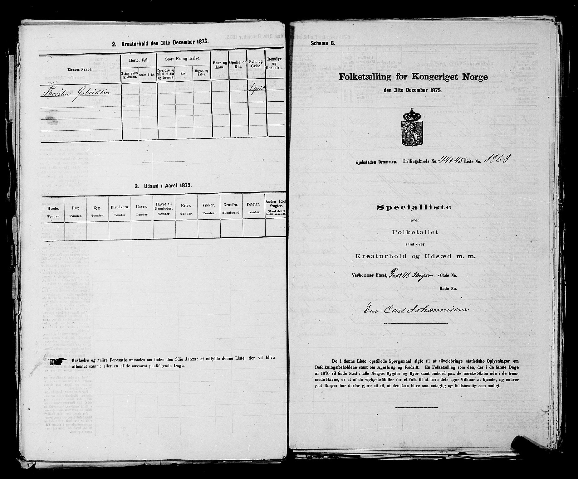 SAKO, 1875 census for 0602 Drammen, 1875, p. 3735