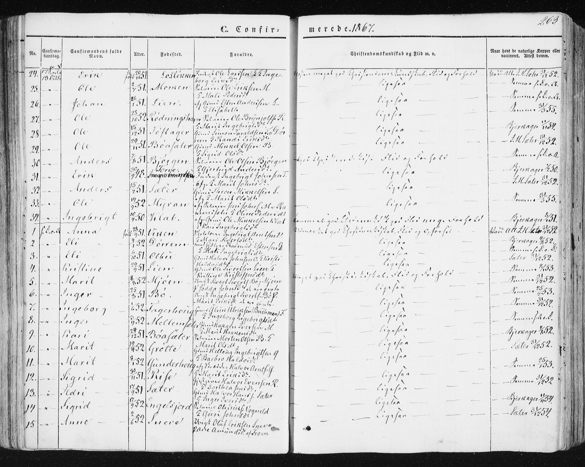 Ministerialprotokoller, klokkerbøker og fødselsregistre - Sør-Trøndelag, SAT/A-1456/678/L0899: Parish register (official) no. 678A08, 1848-1872, p. 263