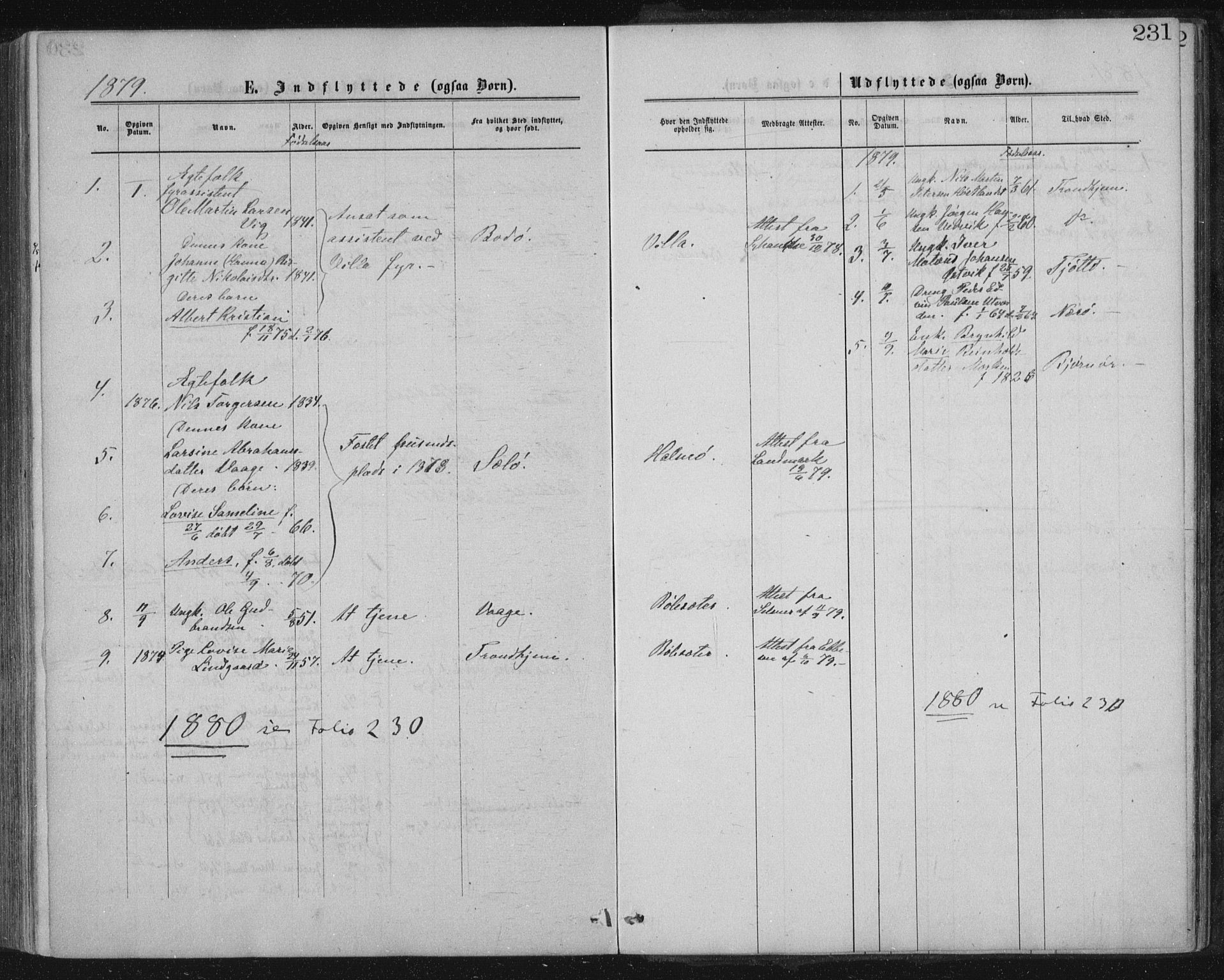 Ministerialprotokoller, klokkerbøker og fødselsregistre - Nord-Trøndelag, SAT/A-1458/771/L0596: Parish register (official) no. 771A03, 1870-1884, p. 231