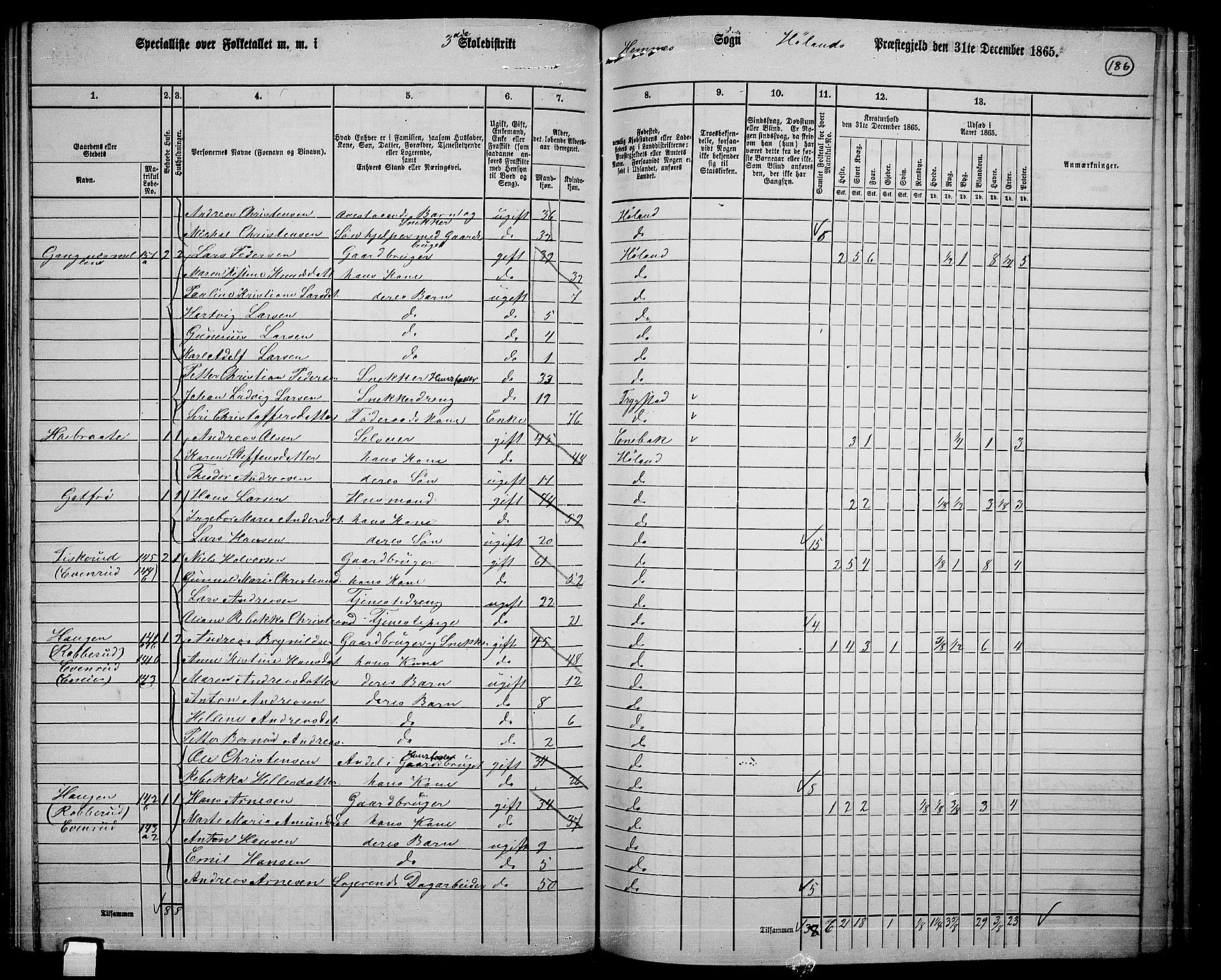 RA, 1865 census for Høland, 1865, p. 171