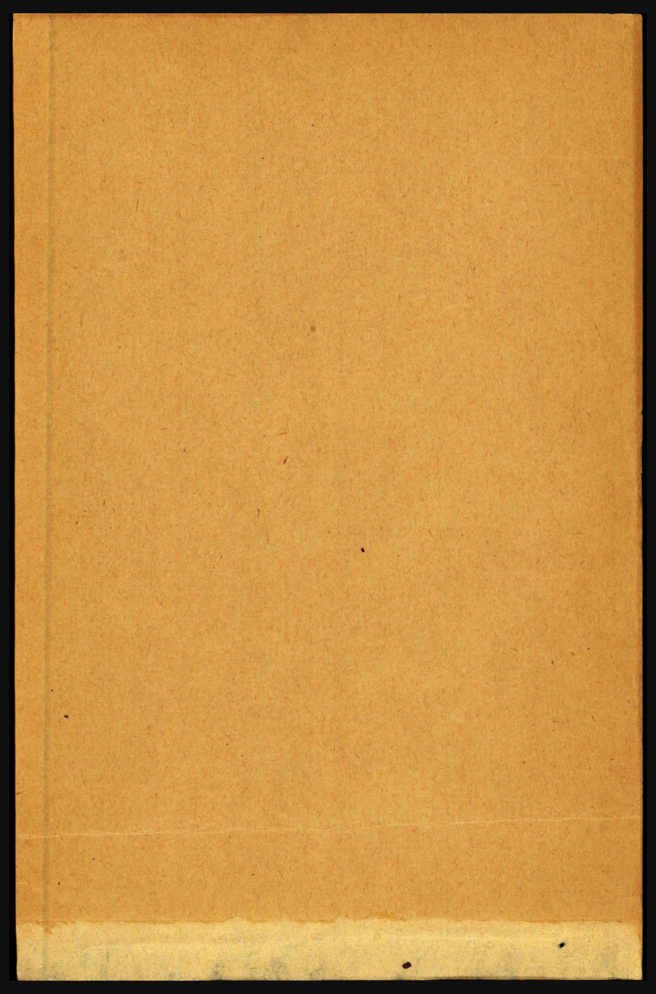 RA, 1891 census for 1860 Buksnes, 1891, p. 220