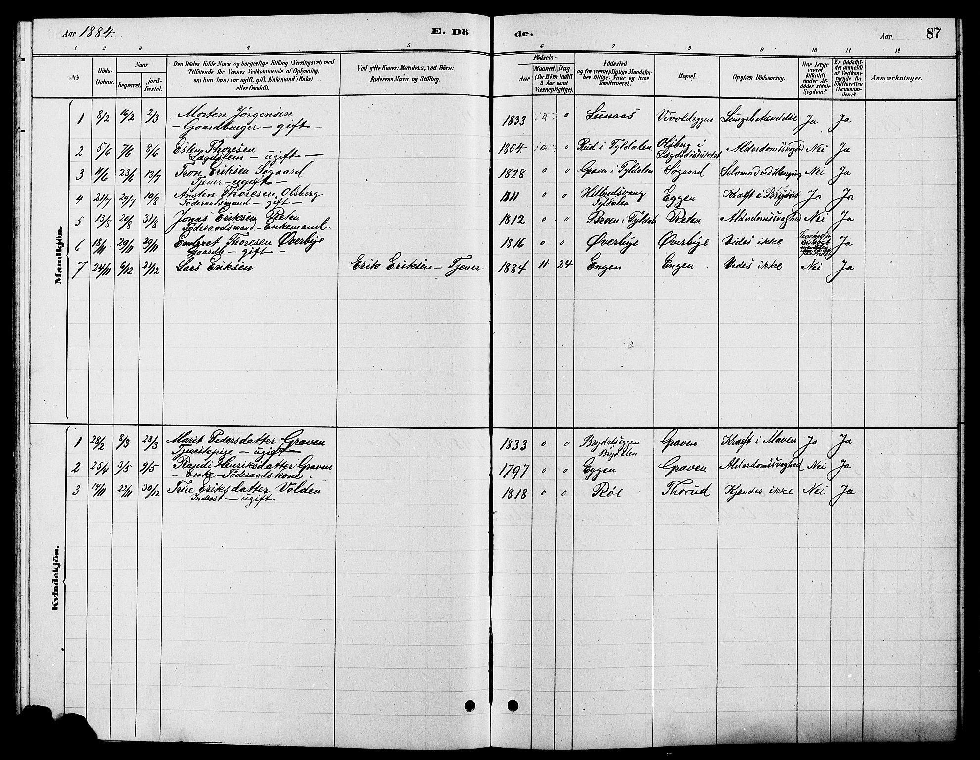 Tynset prestekontor, SAH/PREST-058/H/Ha/Hab/L0007: Parish register (copy) no. 7, 1880-1901, p. 87
