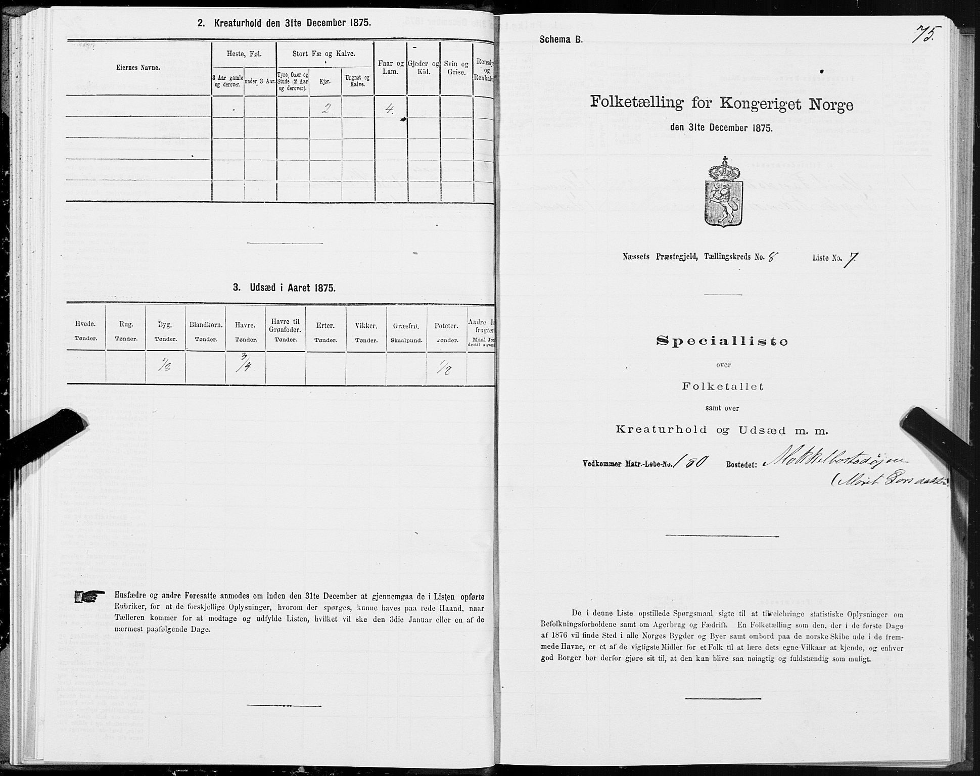 SAT, 1875 census for 1543P Nesset, 1875, p. 4075