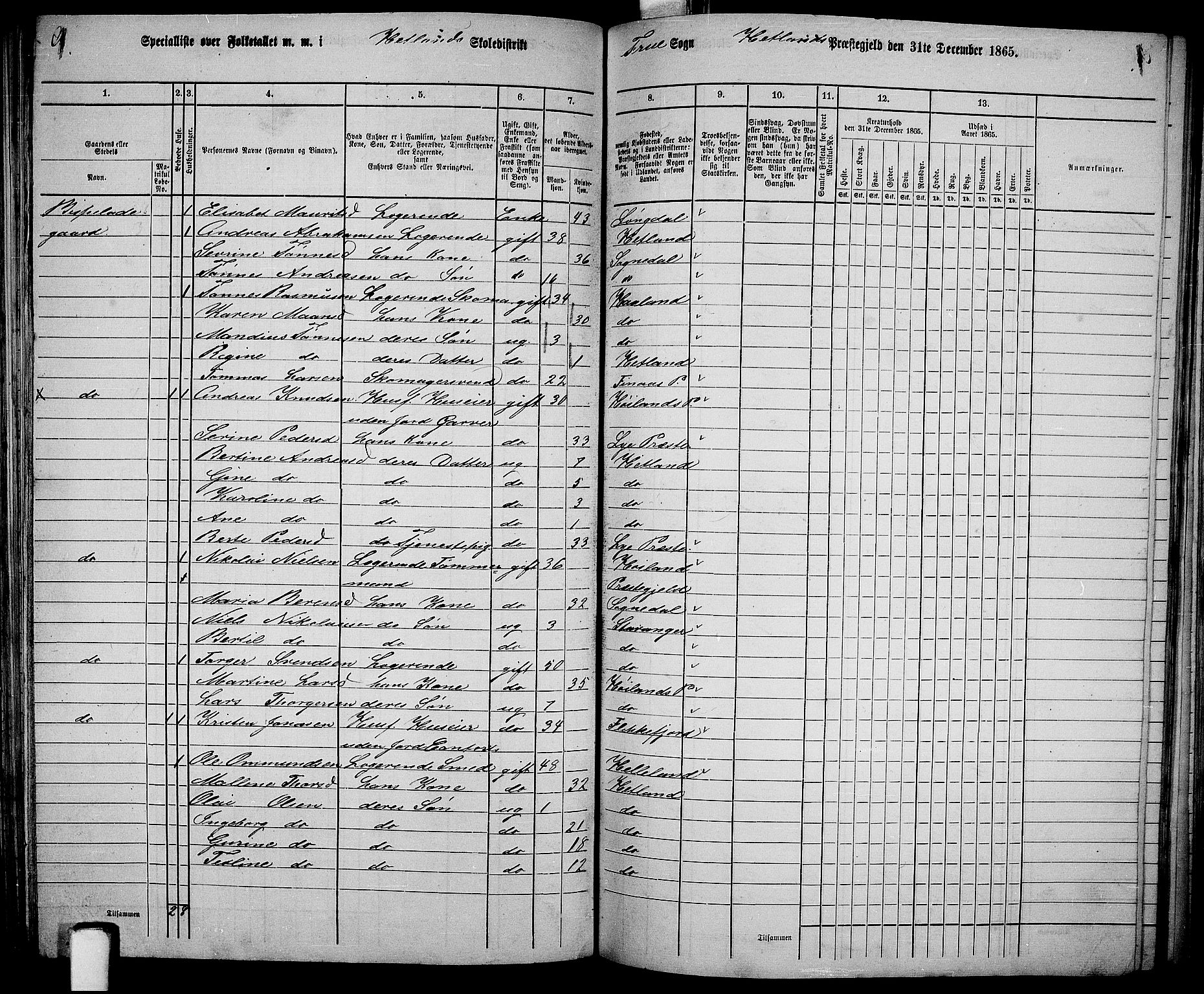 RA, 1865 census for Hetland, 1865, p. 123