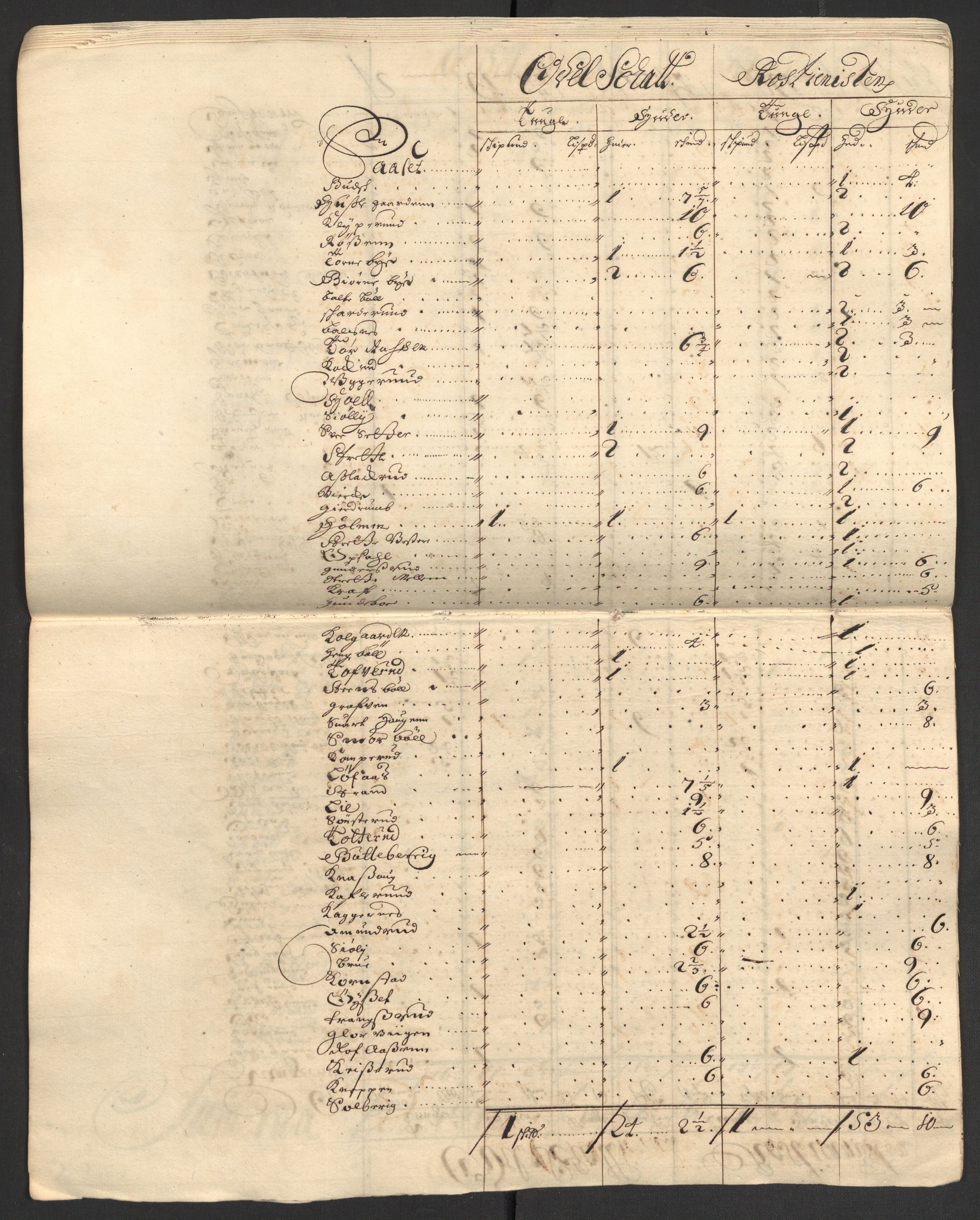 Rentekammeret inntil 1814, Reviderte regnskaper, Fogderegnskap, AV/RA-EA-4092/R13/L0843: Fogderegnskap Solør, Odal og Østerdal, 1705-1706, p. 166