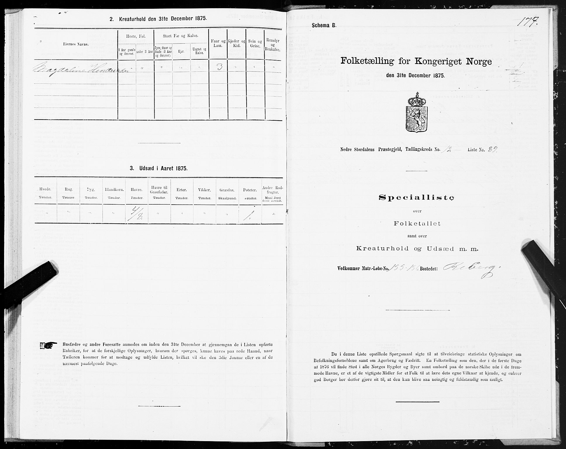 SAT, 1875 census for 1714P Nedre Stjørdal, 1875, p. 6177