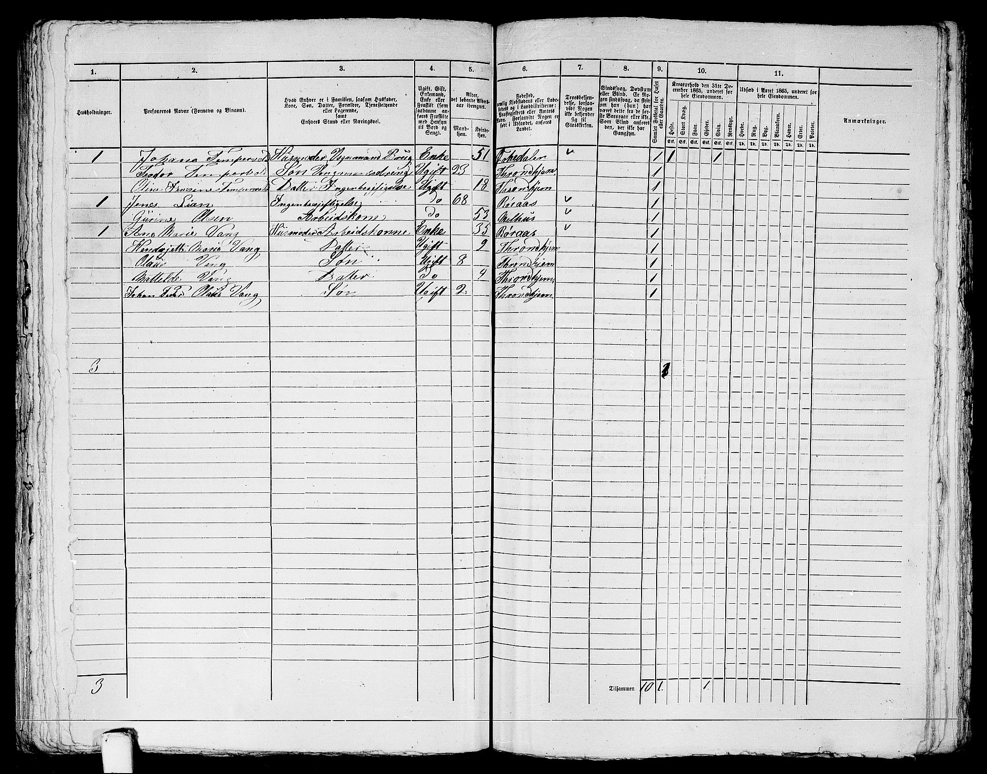 RA, 1865 census for Trondheim, 1865, p. 1324