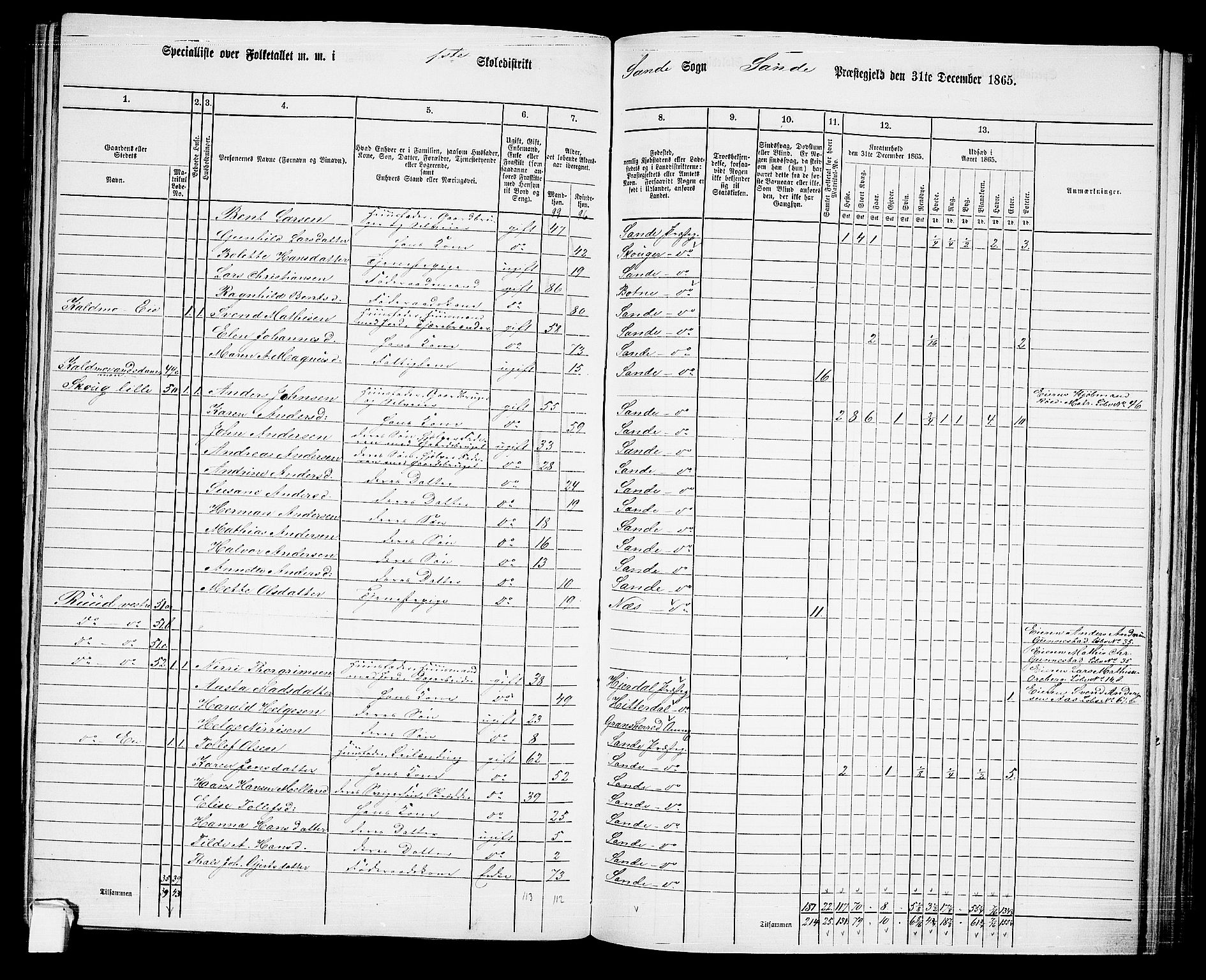 RA, 1865 census for Sande, 1865, p. 28