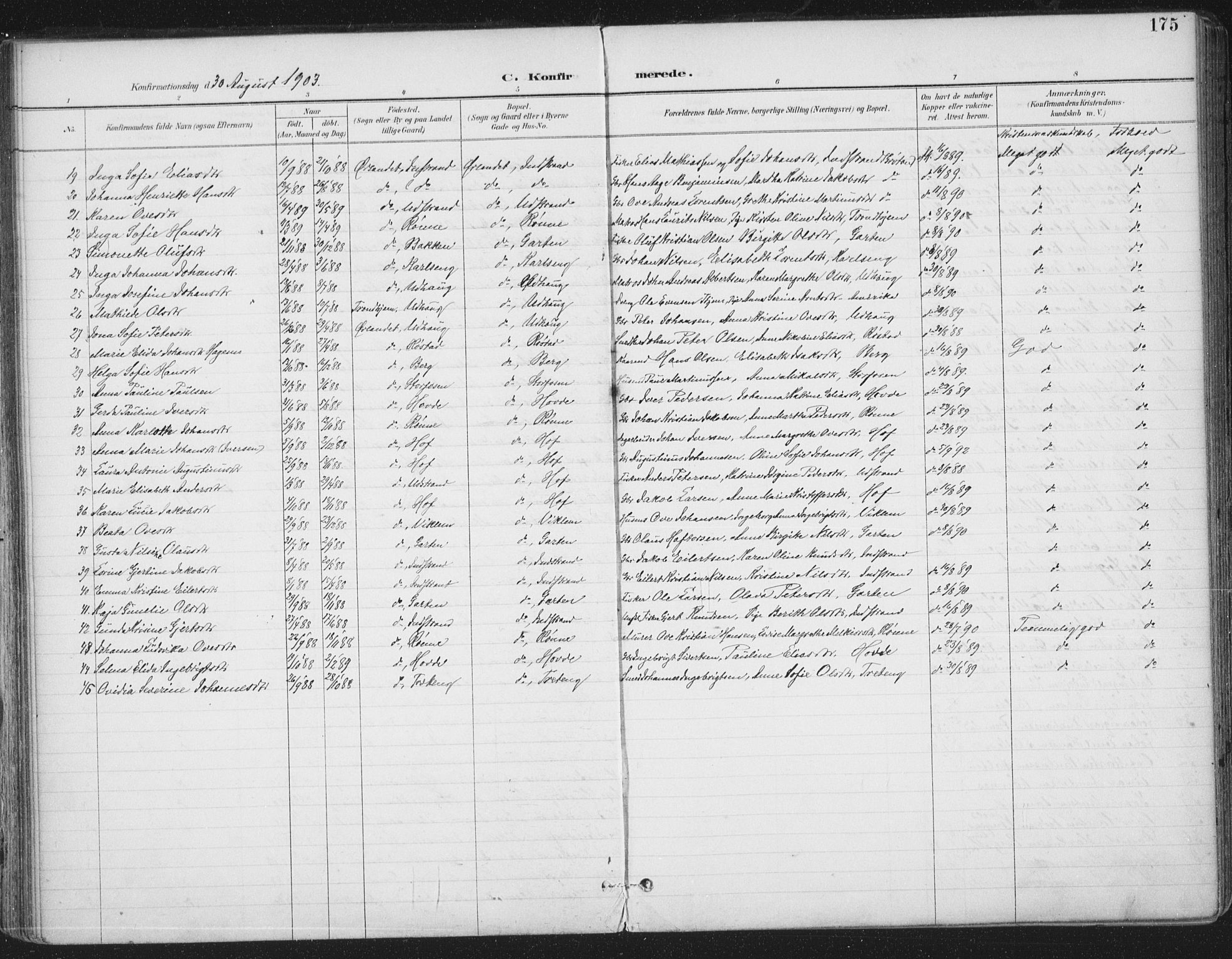 Ministerialprotokoller, klokkerbøker og fødselsregistre - Sør-Trøndelag, SAT/A-1456/659/L0743: Parish register (official) no. 659A13, 1893-1910, p. 175