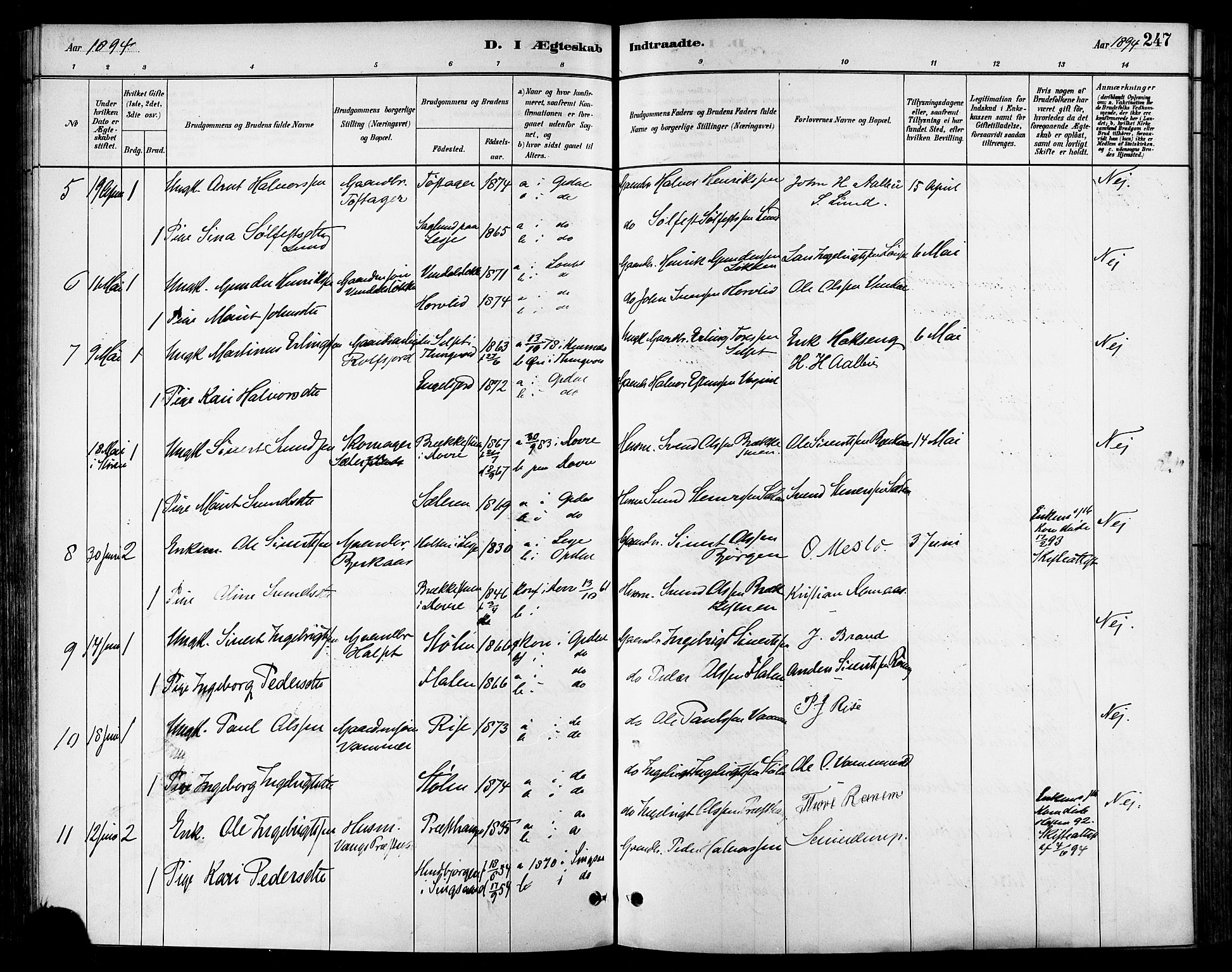 Ministerialprotokoller, klokkerbøker og fødselsregistre - Sør-Trøndelag, SAT/A-1456/678/L0901: Parish register (official) no. 678A10, 1881-1894, p. 247