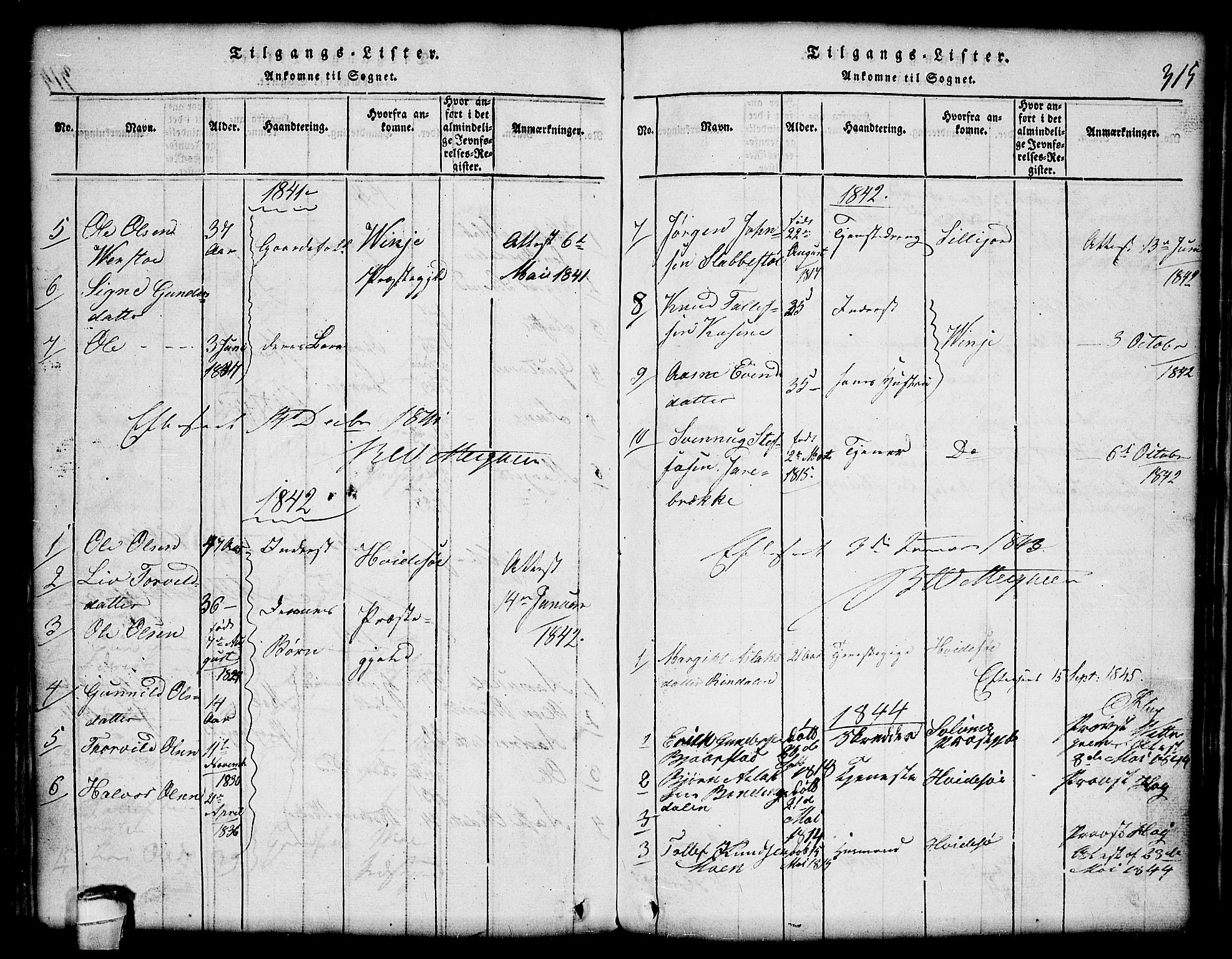 Lårdal kirkebøker, SAKO/A-284/G/Gc/L0001: Parish register (copy) no. III 1, 1815-1854, p. 315