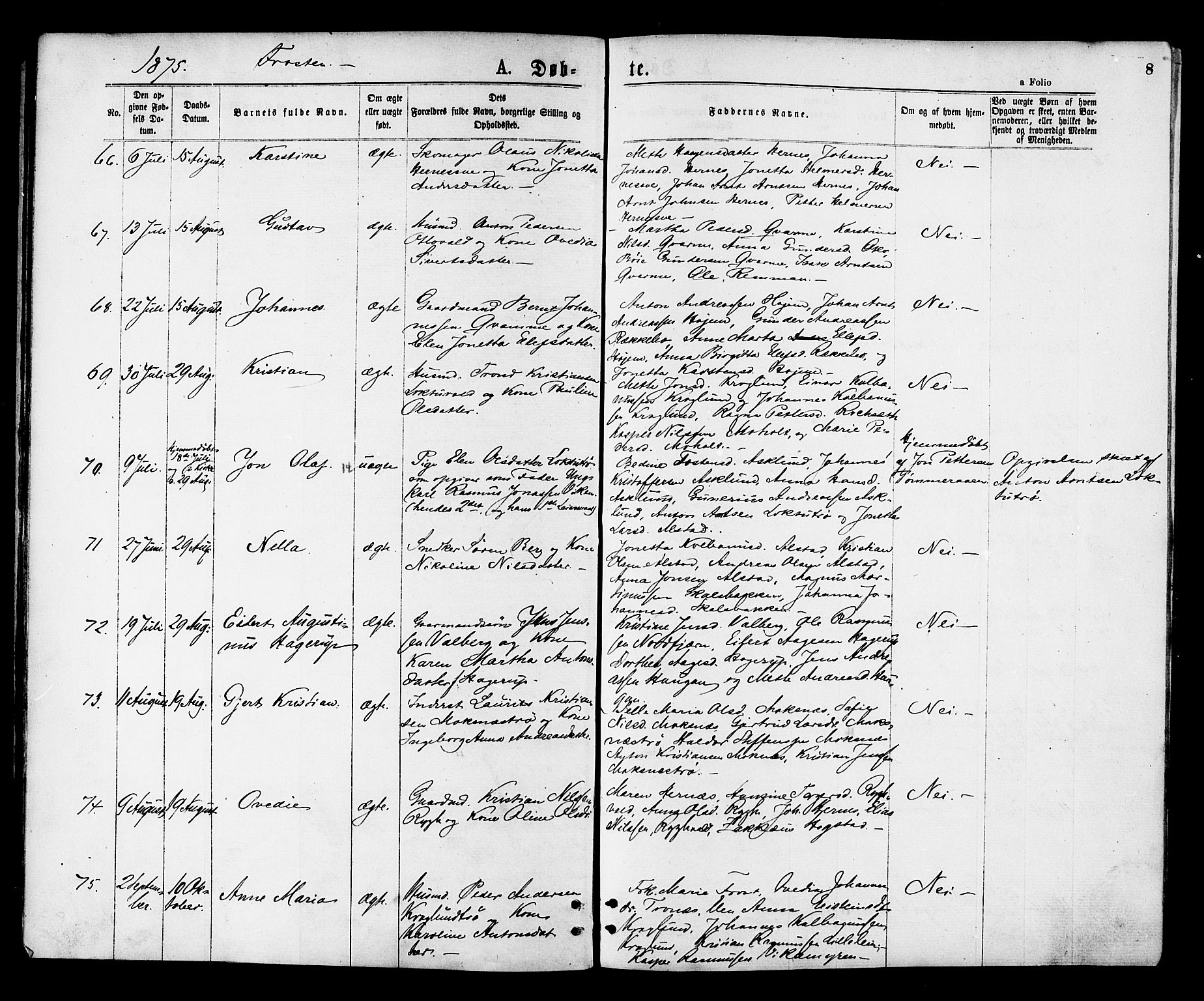 Ministerialprotokoller, klokkerbøker og fødselsregistre - Nord-Trøndelag, AV/SAT-A-1458/713/L0118: Parish register (official) no. 713A08 /1, 1875-1877, p. 8