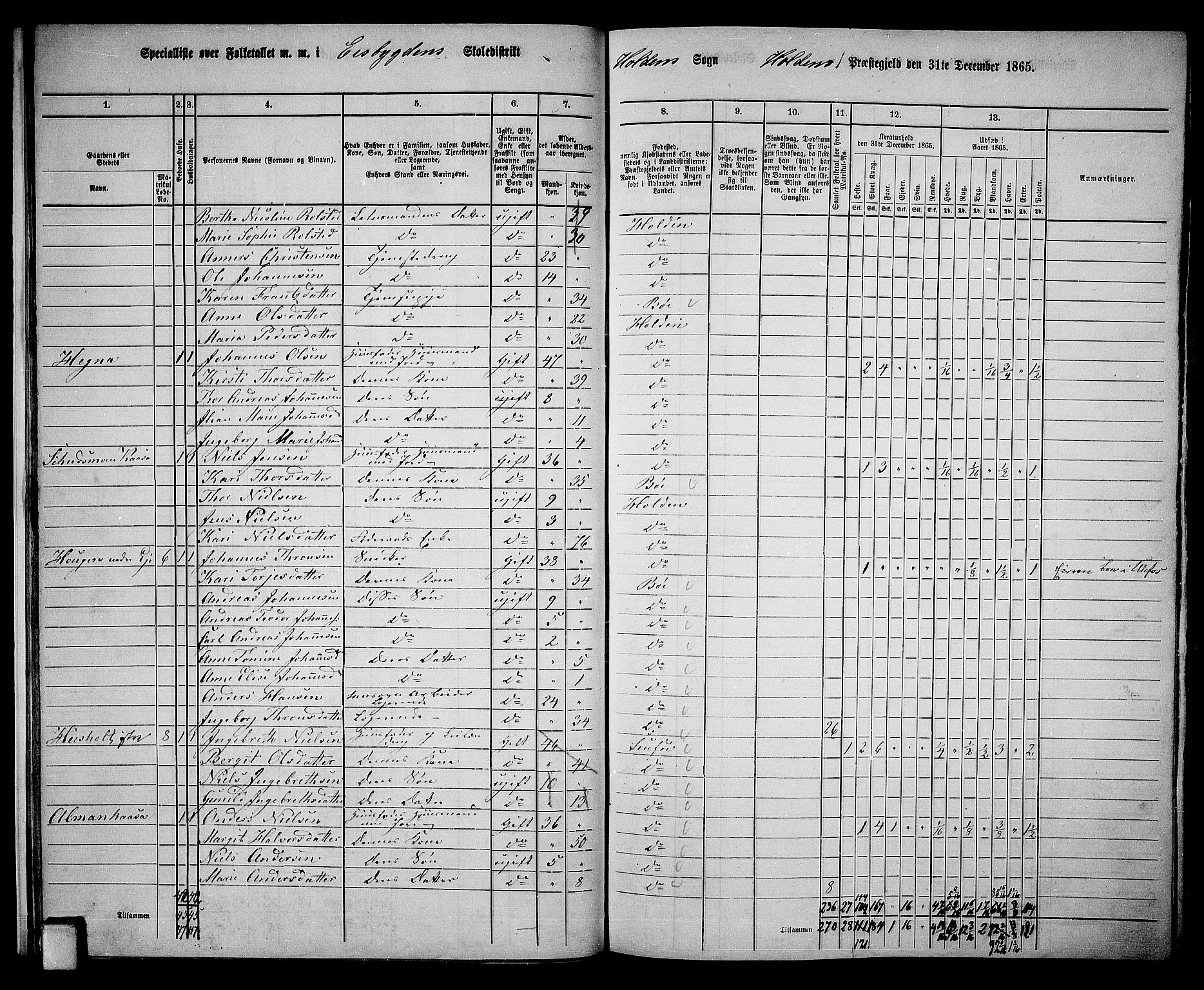 RA, 1865 census for Holla, 1865, p. 20