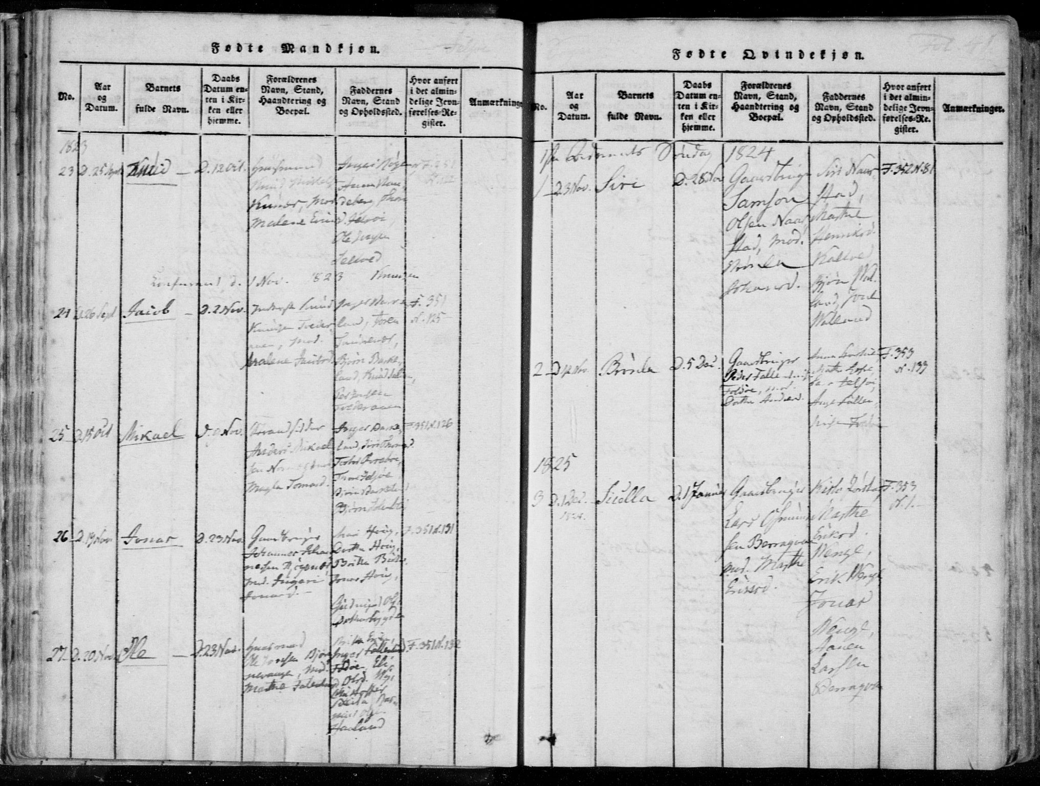 Jelsa sokneprestkontor, SAST/A-101842/01/IV: Parish register (official) no. A 5, 1816-1828, p. 41
