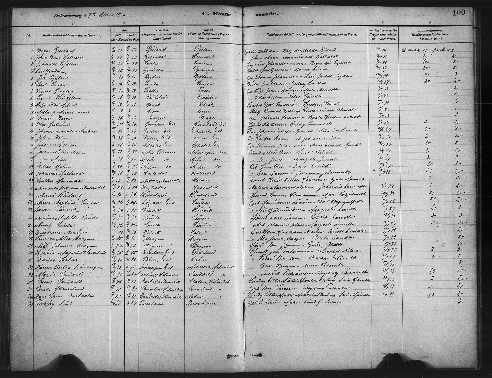 Husnes Sokneprestembete, AV/SAB-A-75901/H/Hab: Parish register (copy) no. A 2, 1881-1917, p. 100