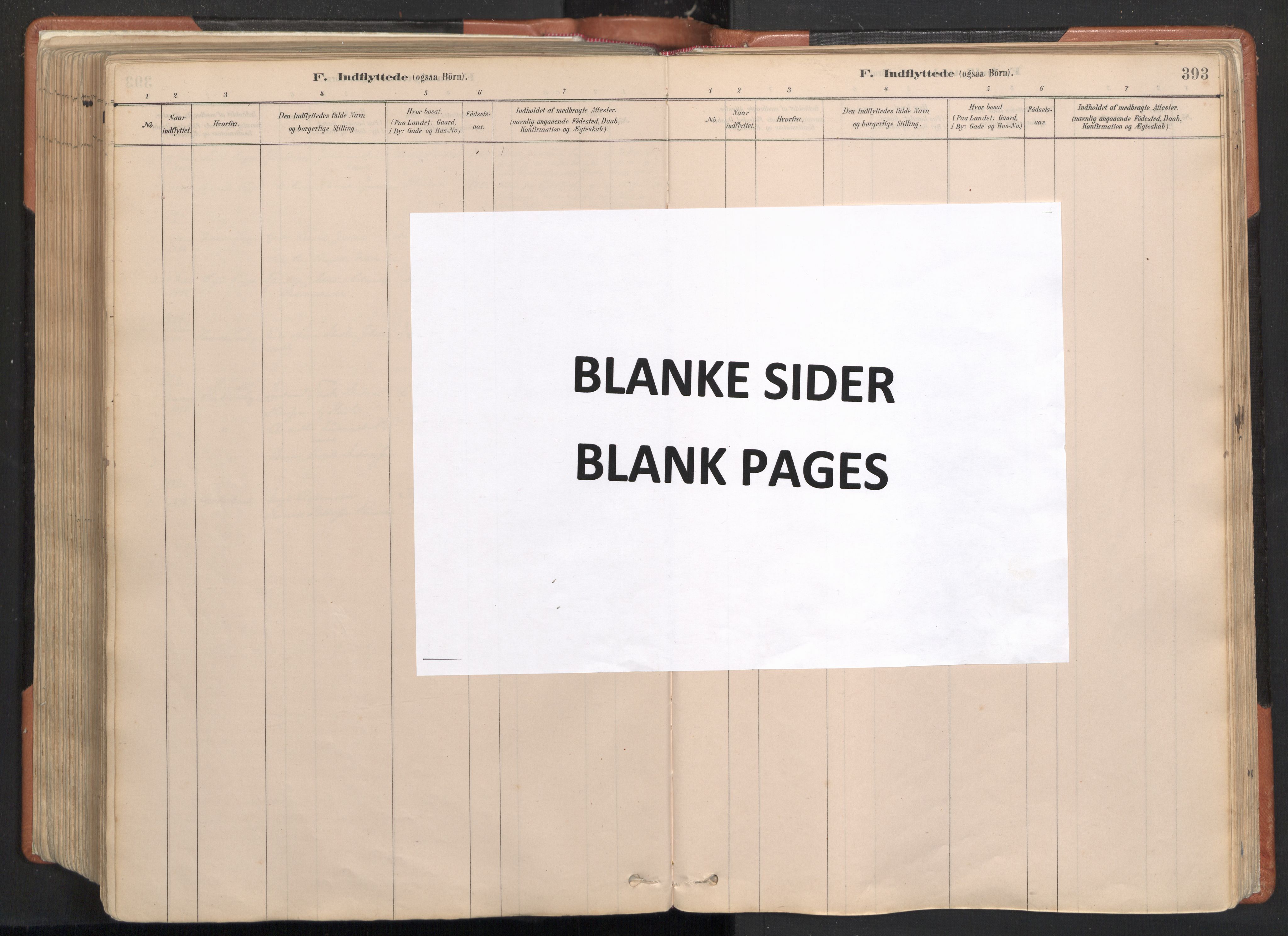 Ministerialprotokoller, klokkerbøker og fødselsregistre - Nordland, AV/SAT-A-1459/817/L0264: Parish register (official) no. 817A04, 1878-1907, p. 393