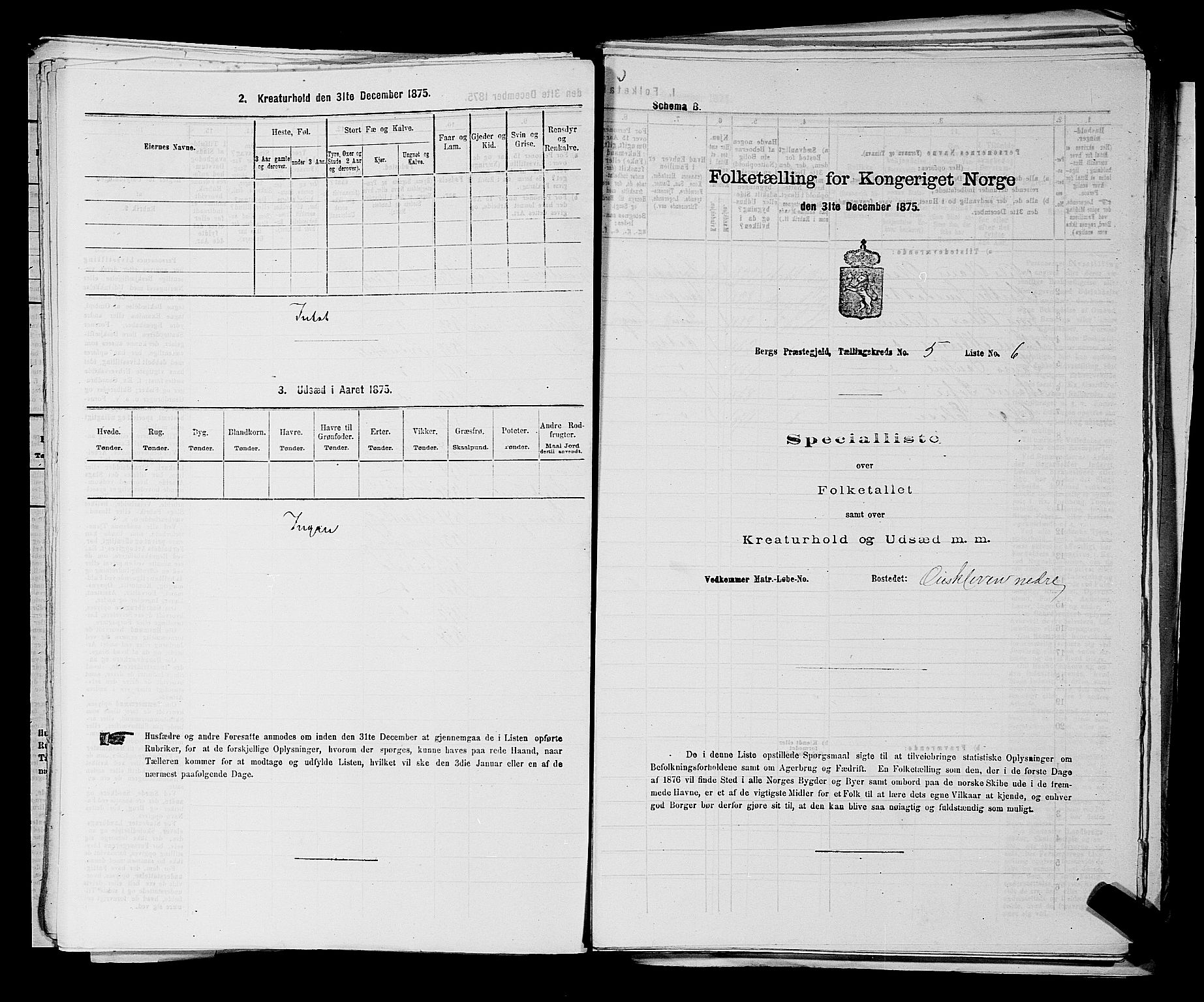RA, 1875 census for 0116P Berg, 1875, p. 691