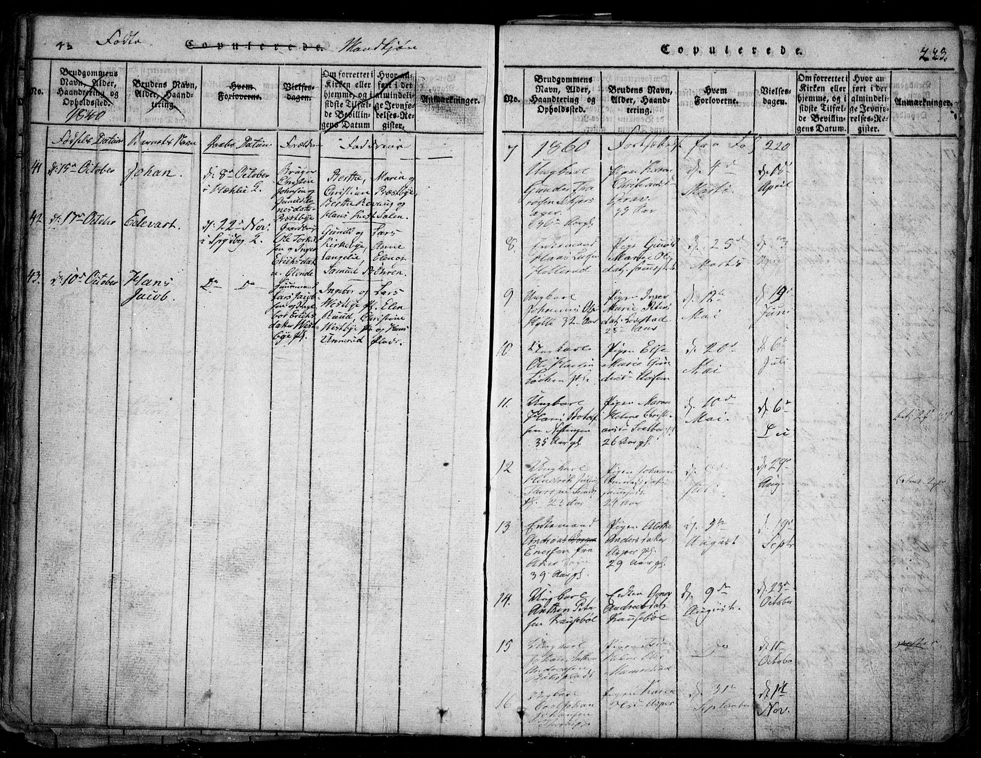 Spydeberg prestekontor Kirkebøker, AV/SAO-A-10924/G/Ga/L0001: Parish register (copy) no. I 1, 1814-1868, p. 223